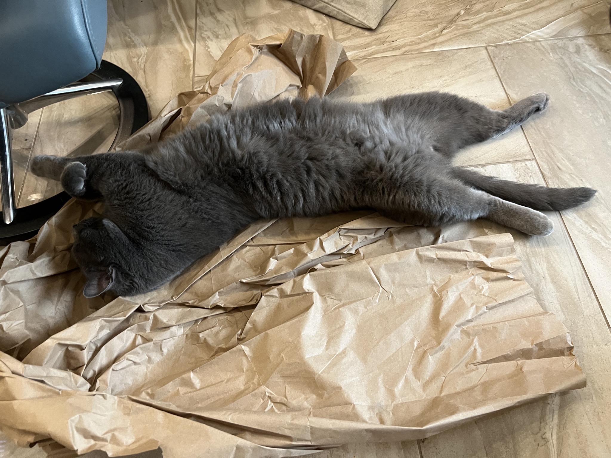 Paladin on packing paper