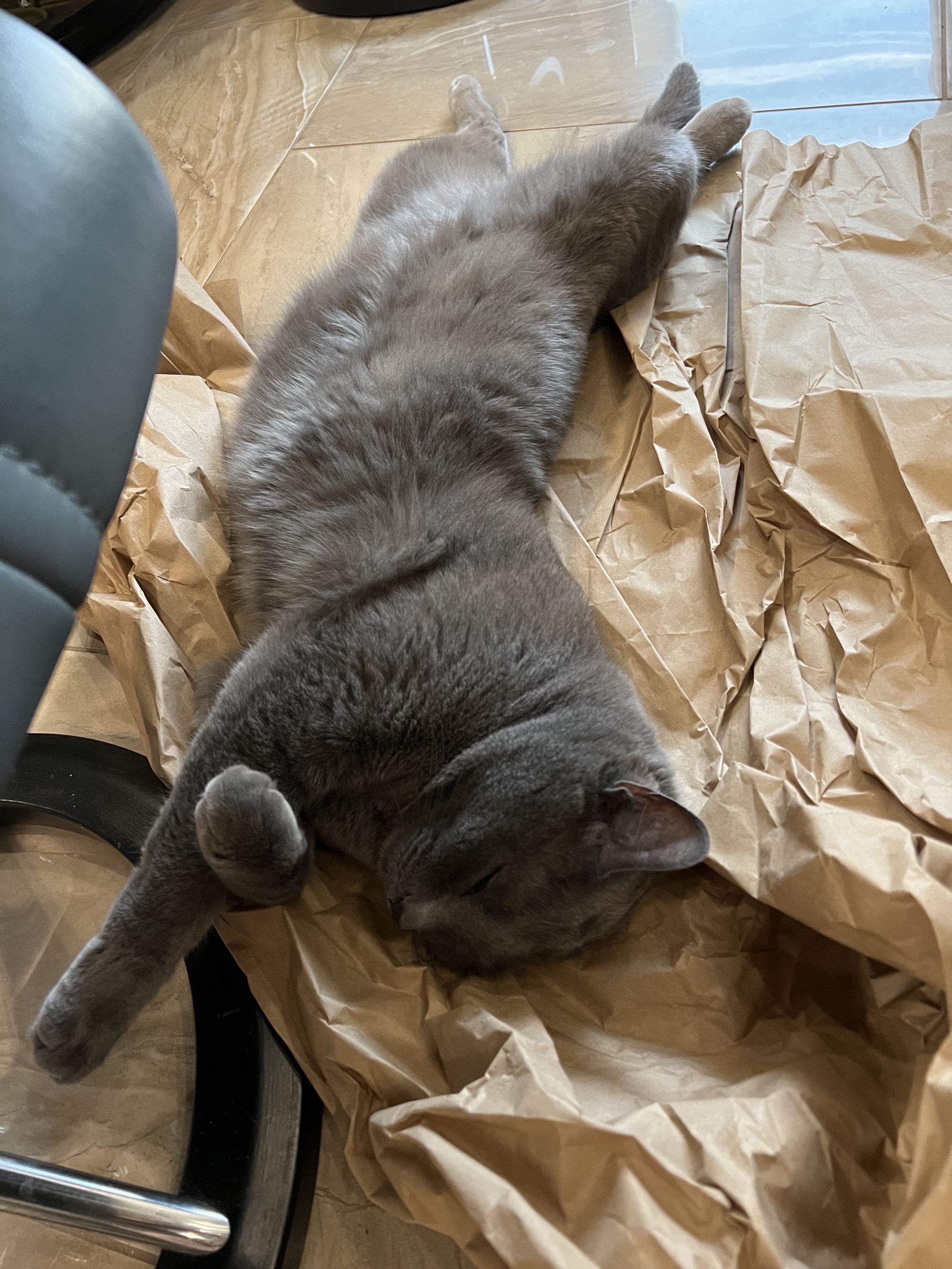 Paladin on packing paper