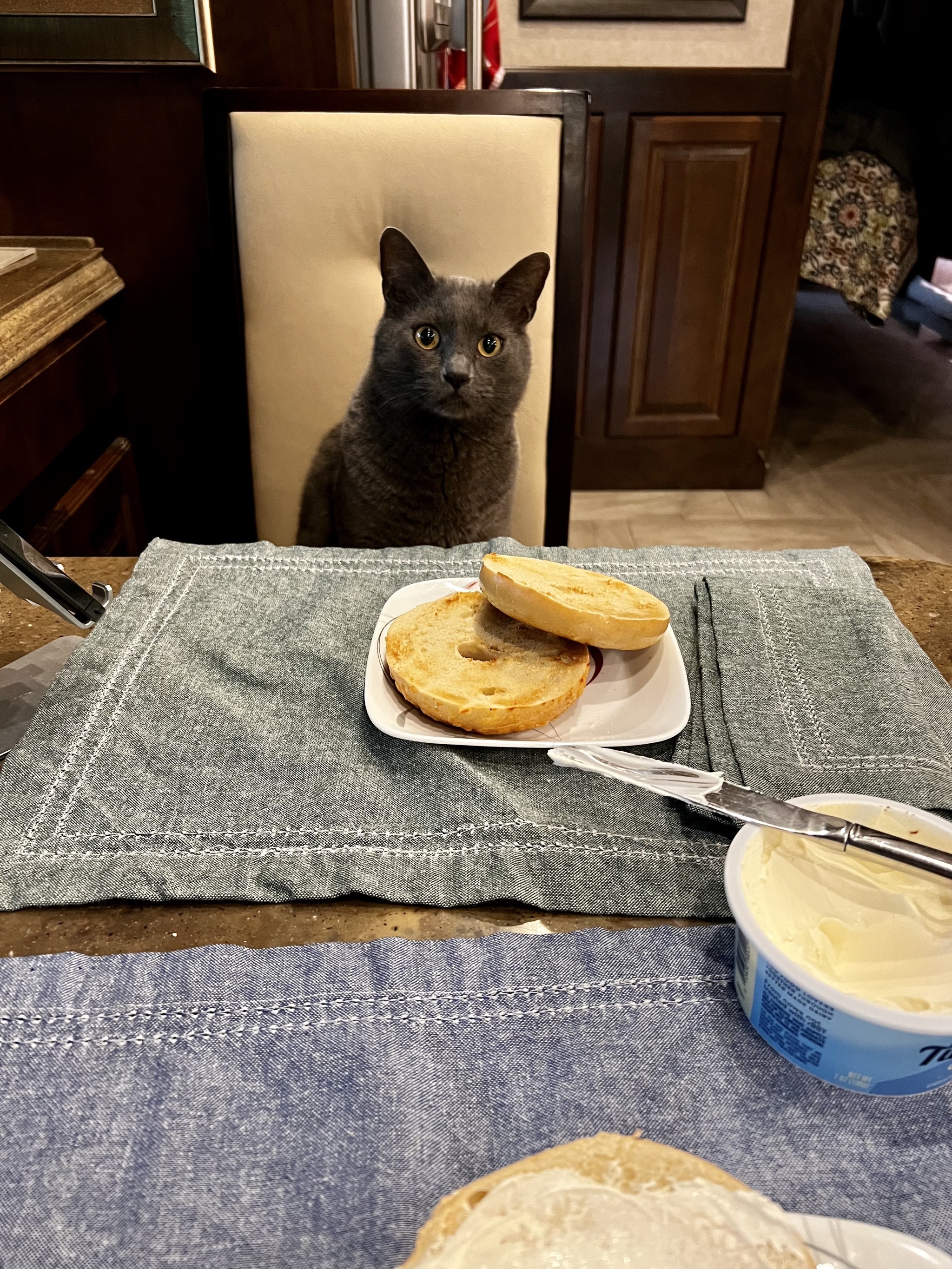 Paladin and bagels