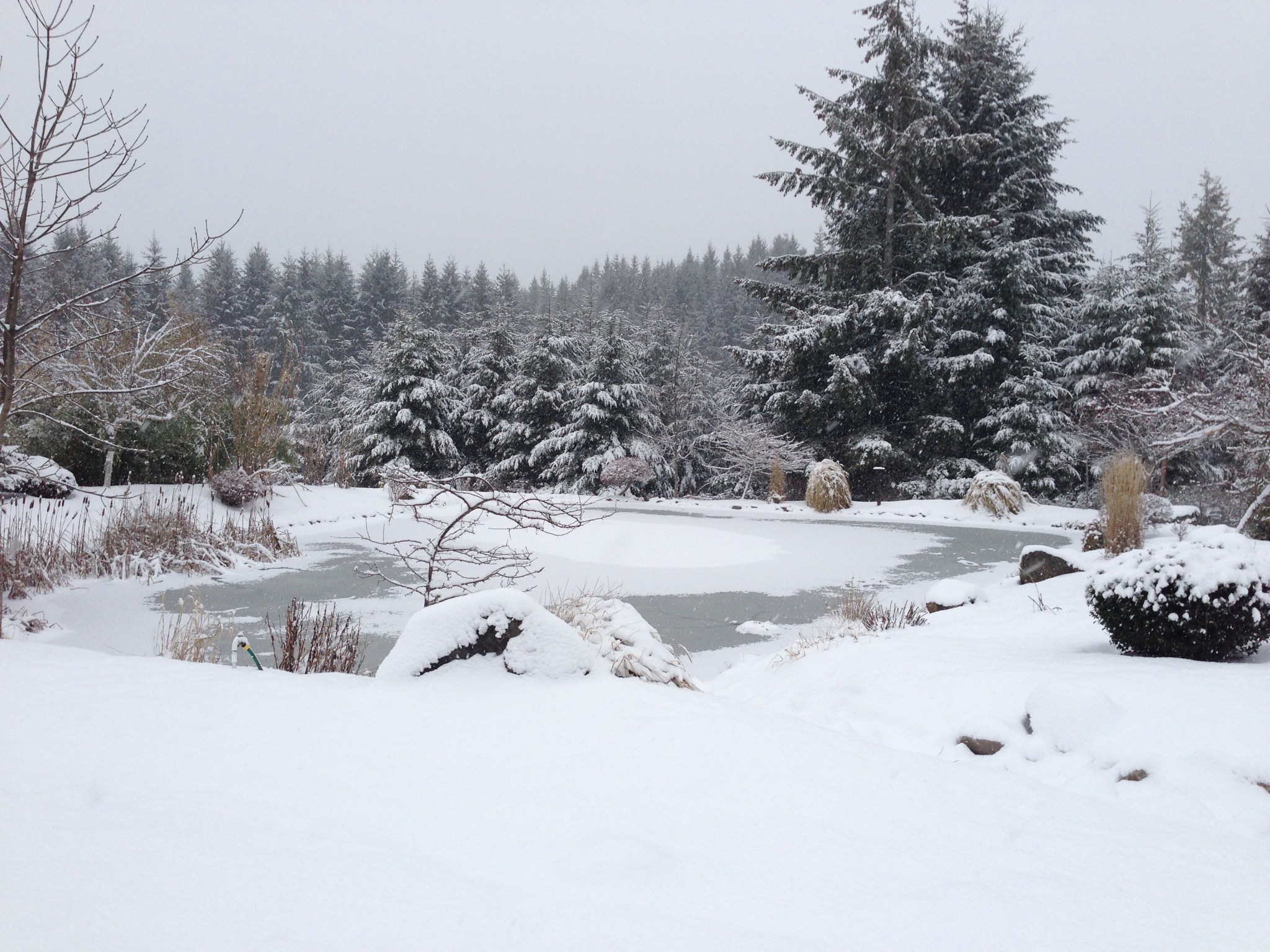 Snowy homestead