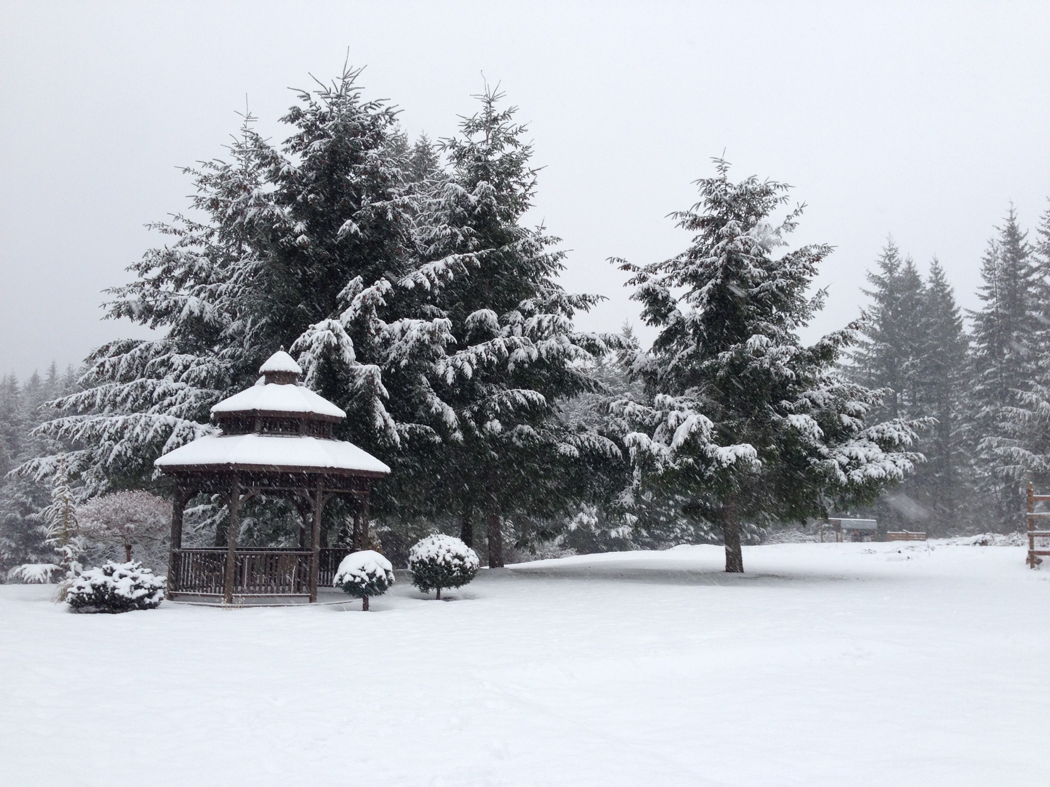 Snowy homestead
