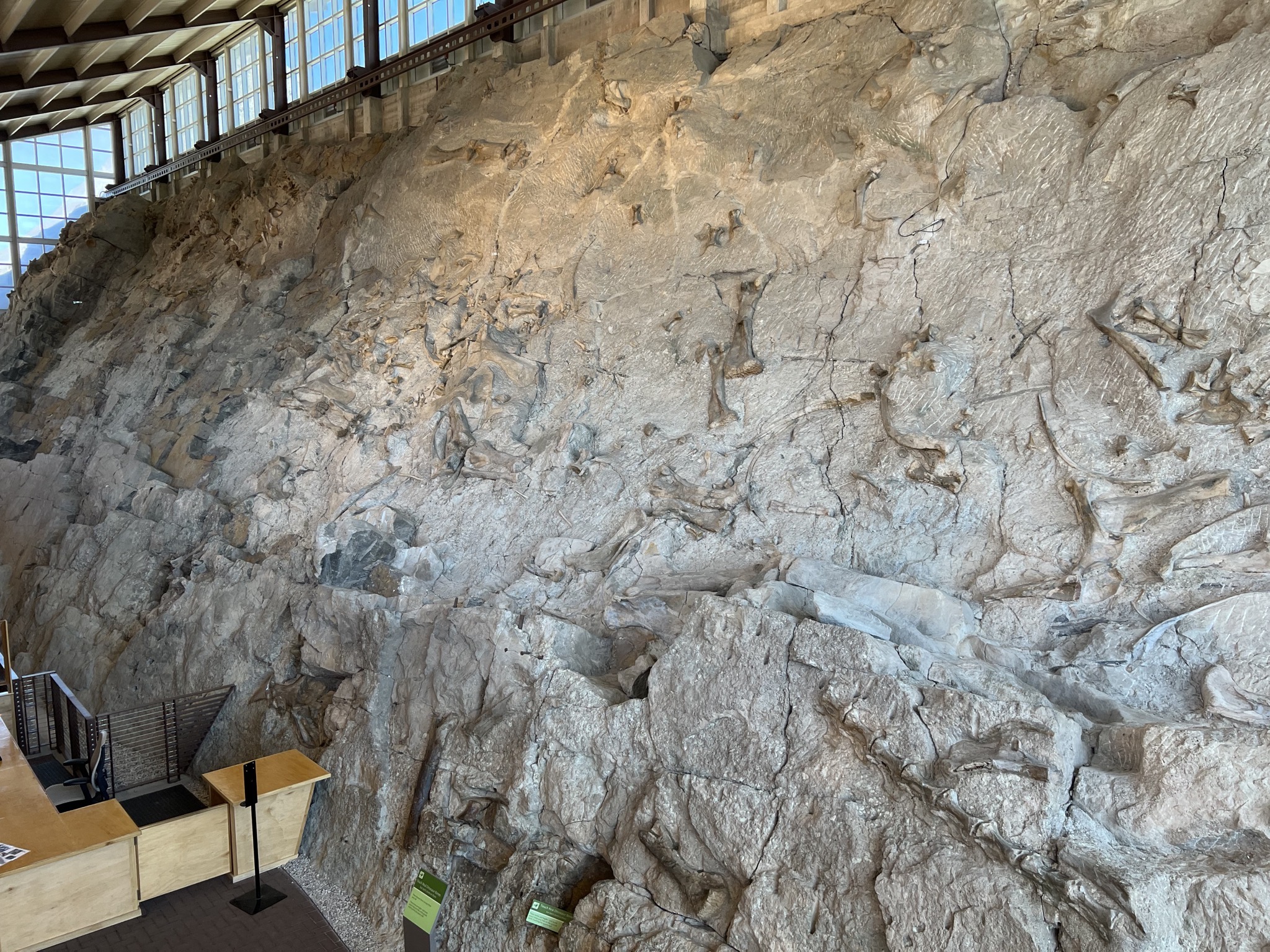 Wall of bones