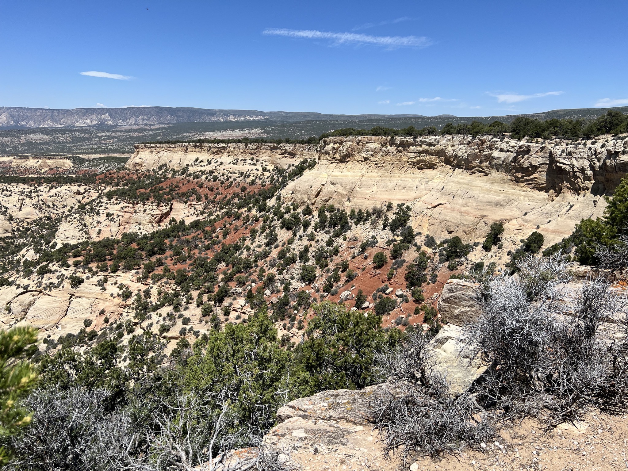 View