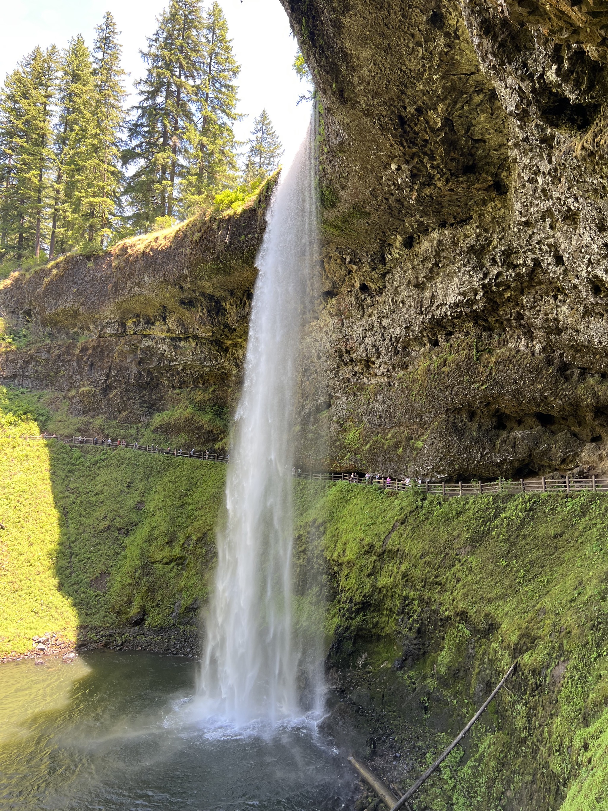 Silver Falls State Park