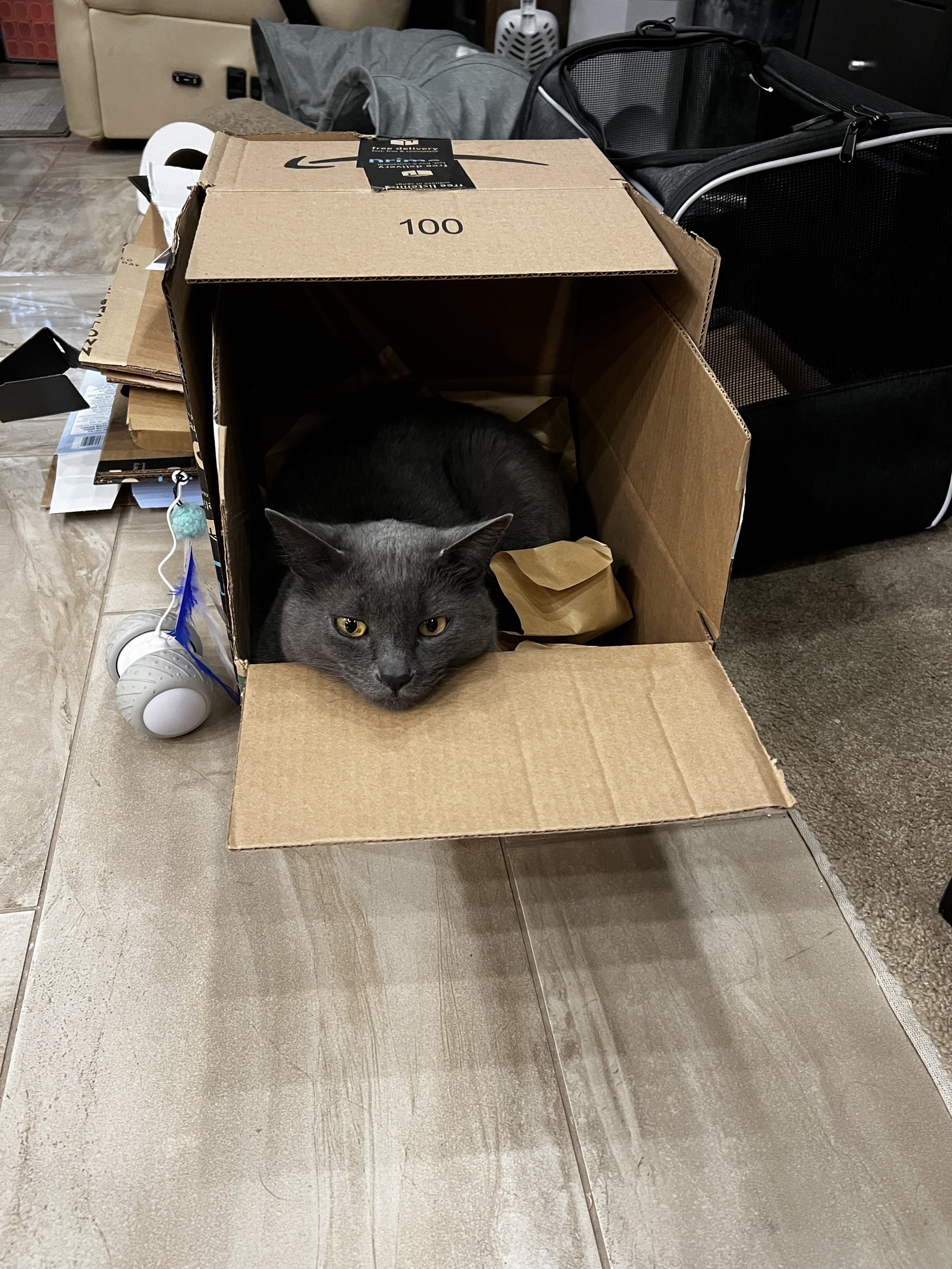 Paladin in a box
