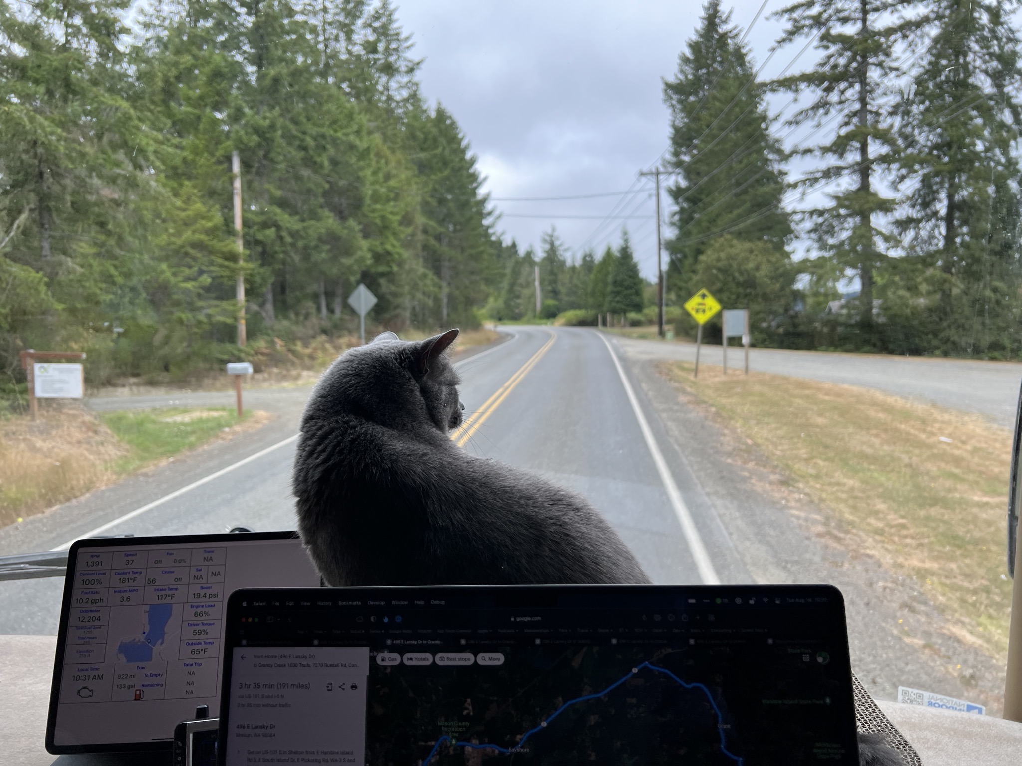 Paladin on RV dash