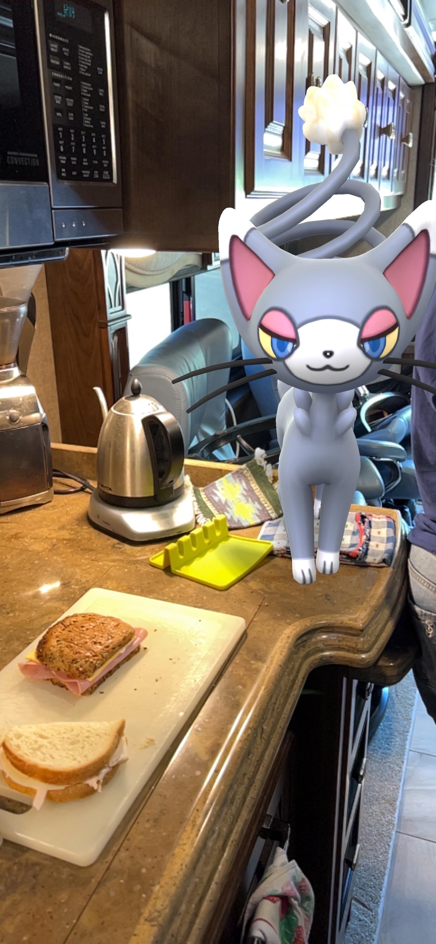 Lunch with my Pokémon buddy