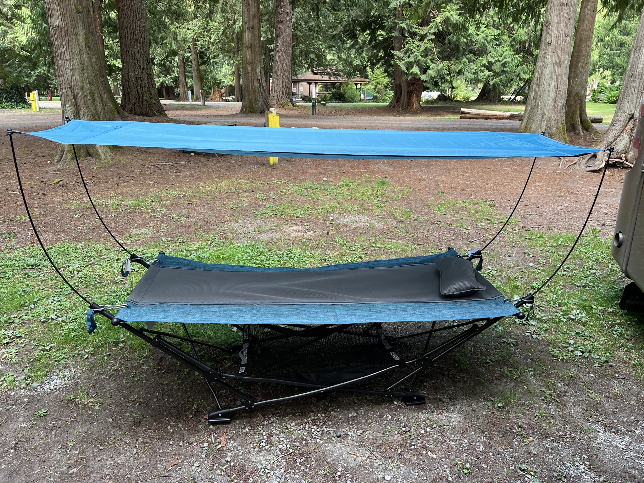 Hammock