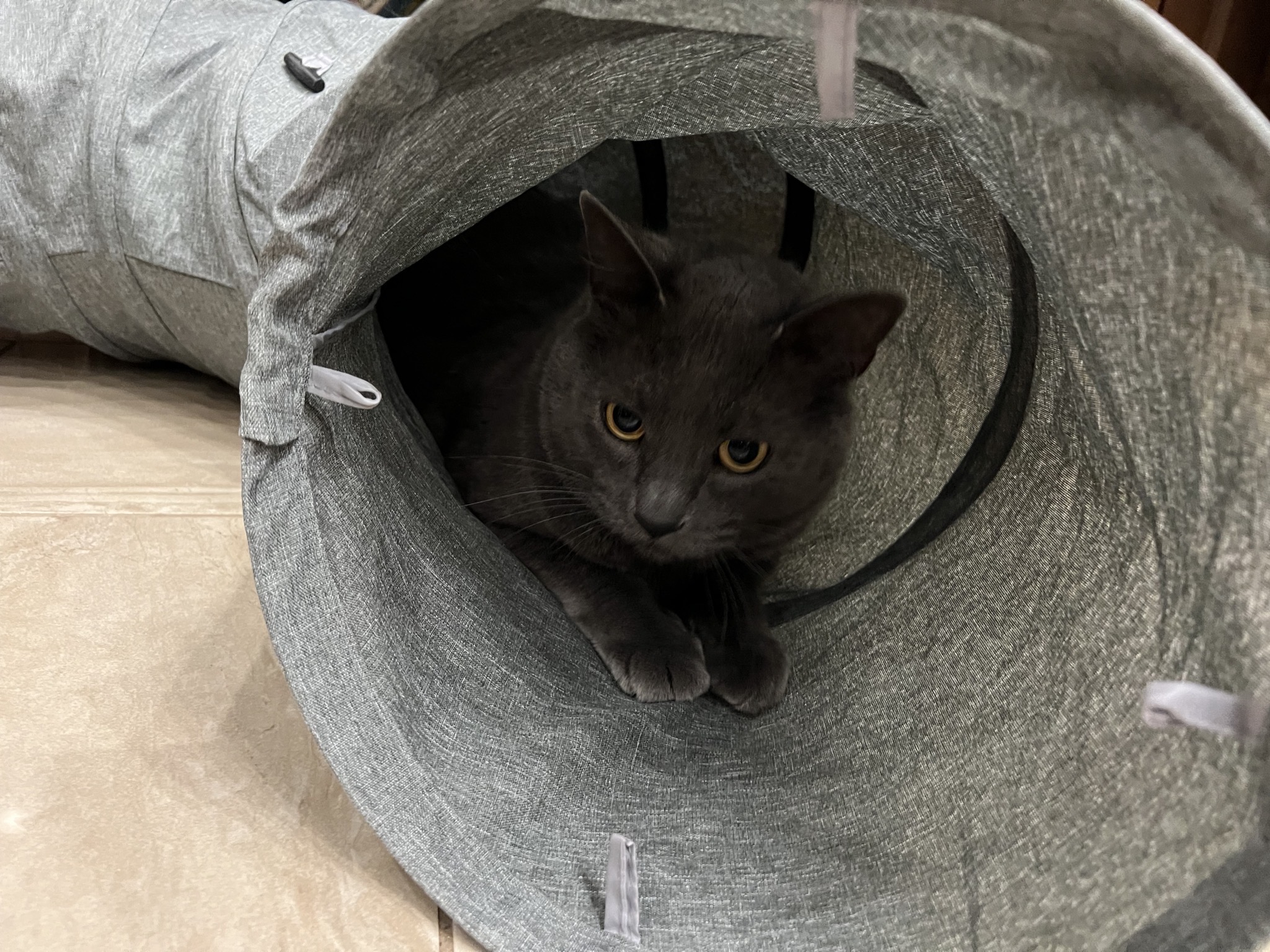 Paladin in a tunnel