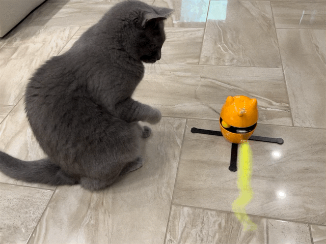 Paladin with toy
