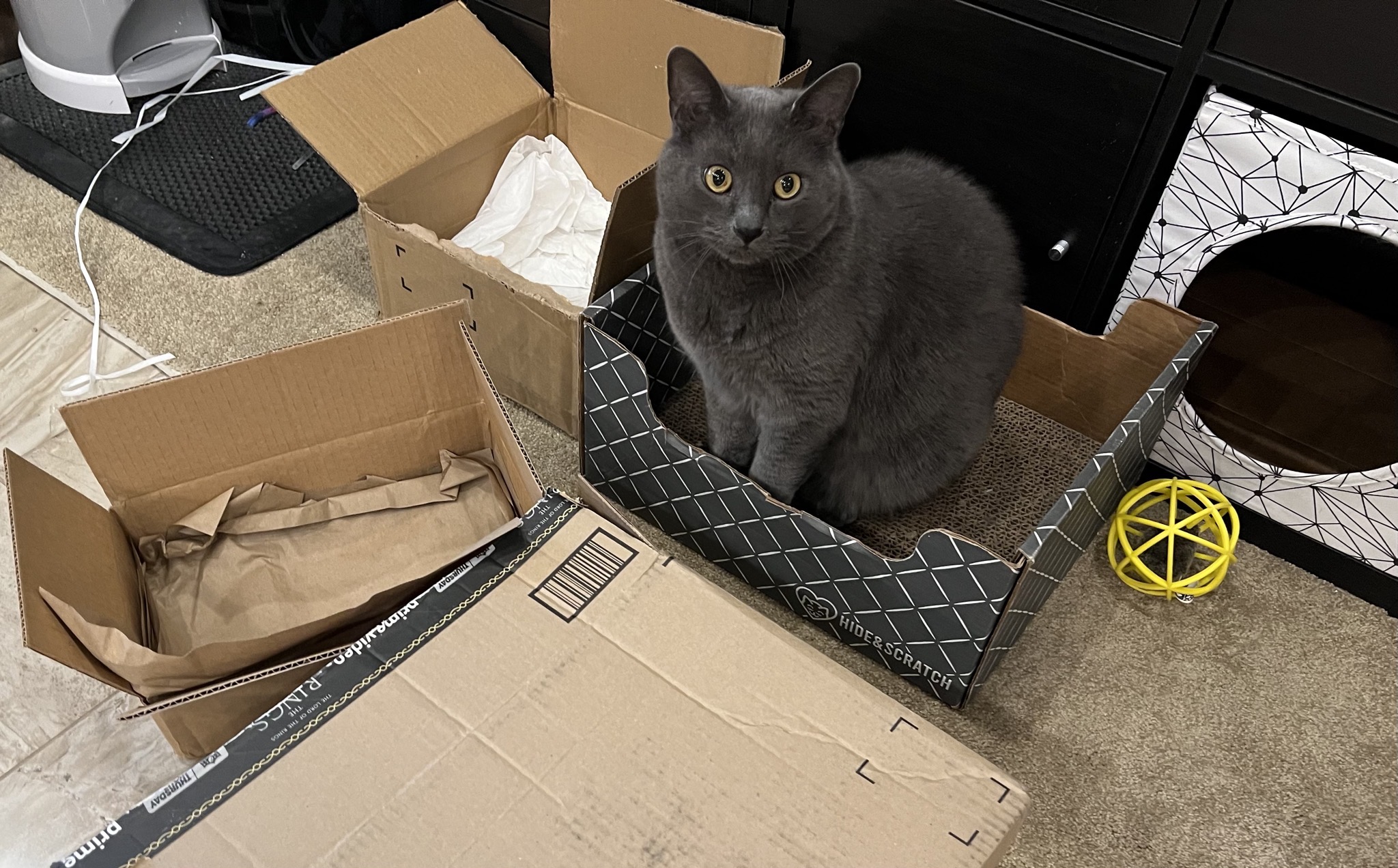 Paladin and boxes
