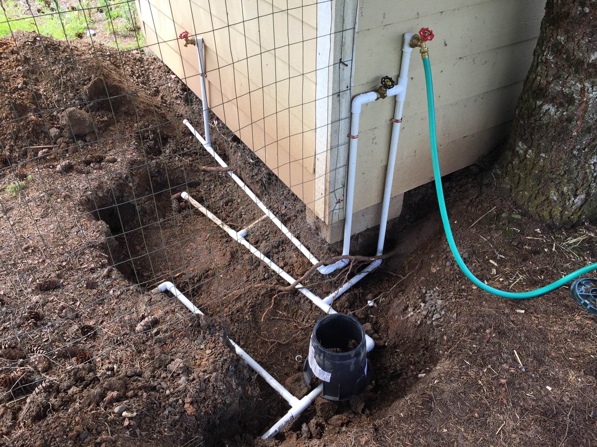 Chicken coop taps