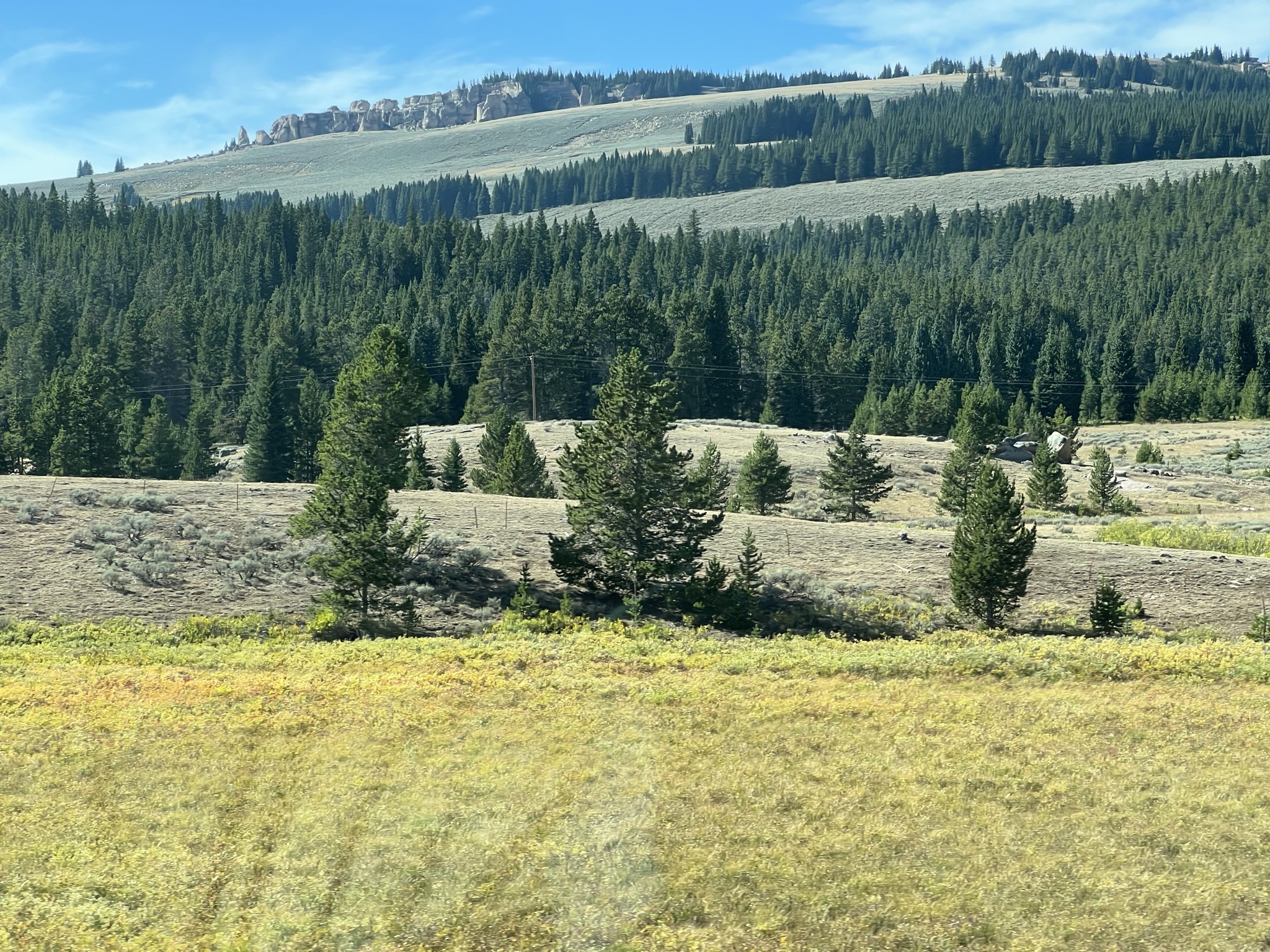 Bighorn National Forest