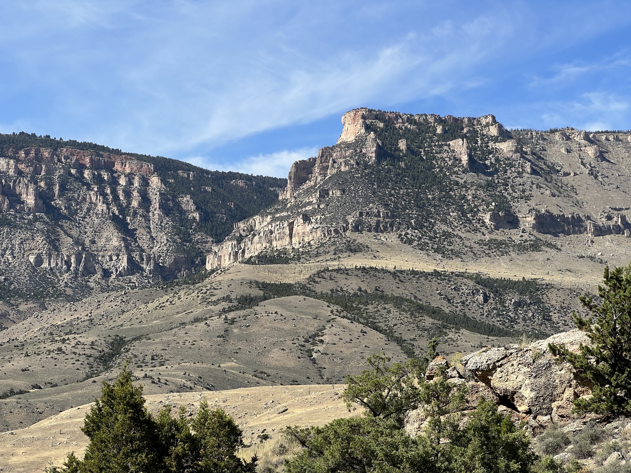 Bighorn National Forest