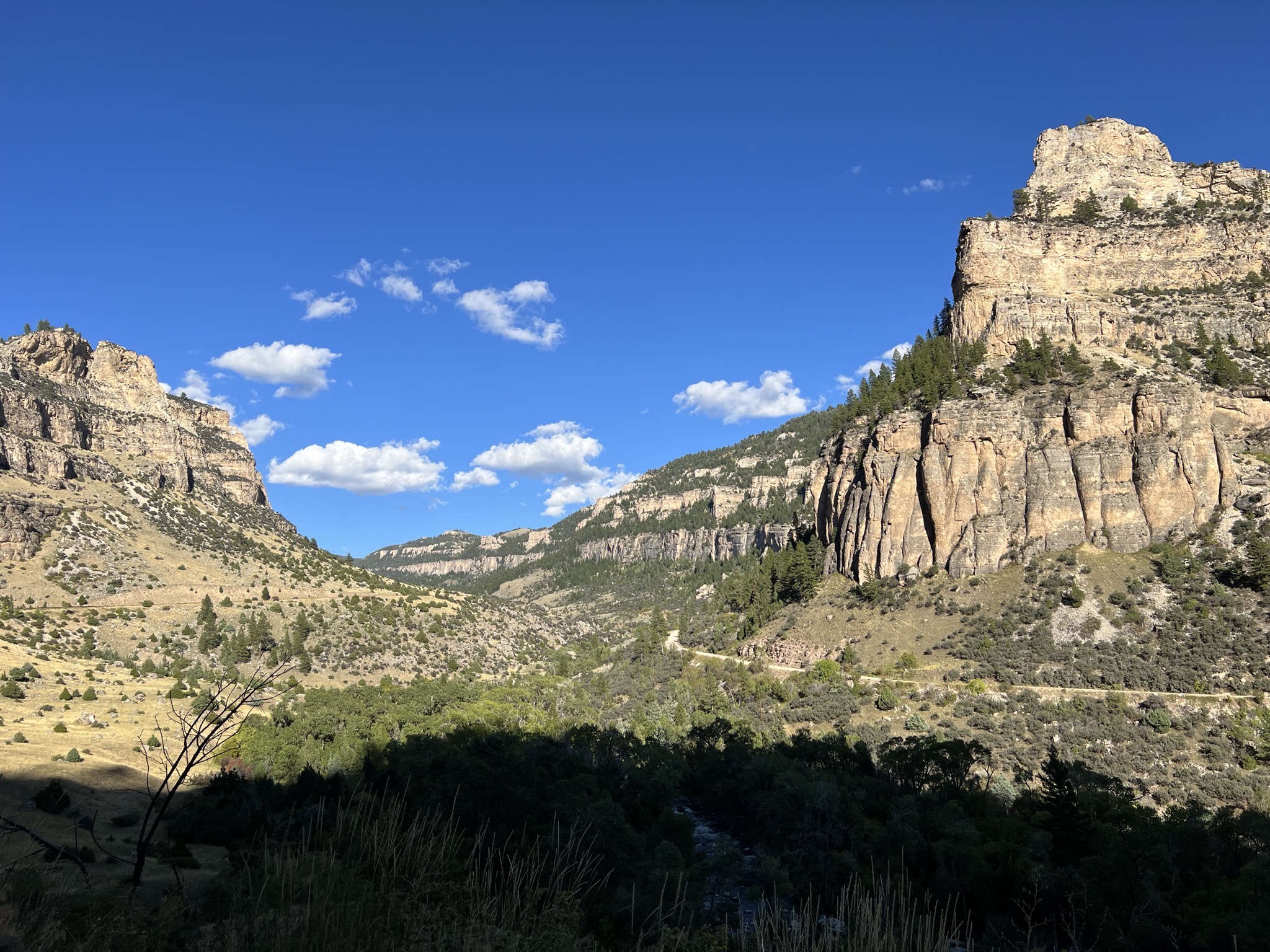 Bighorn National Forest