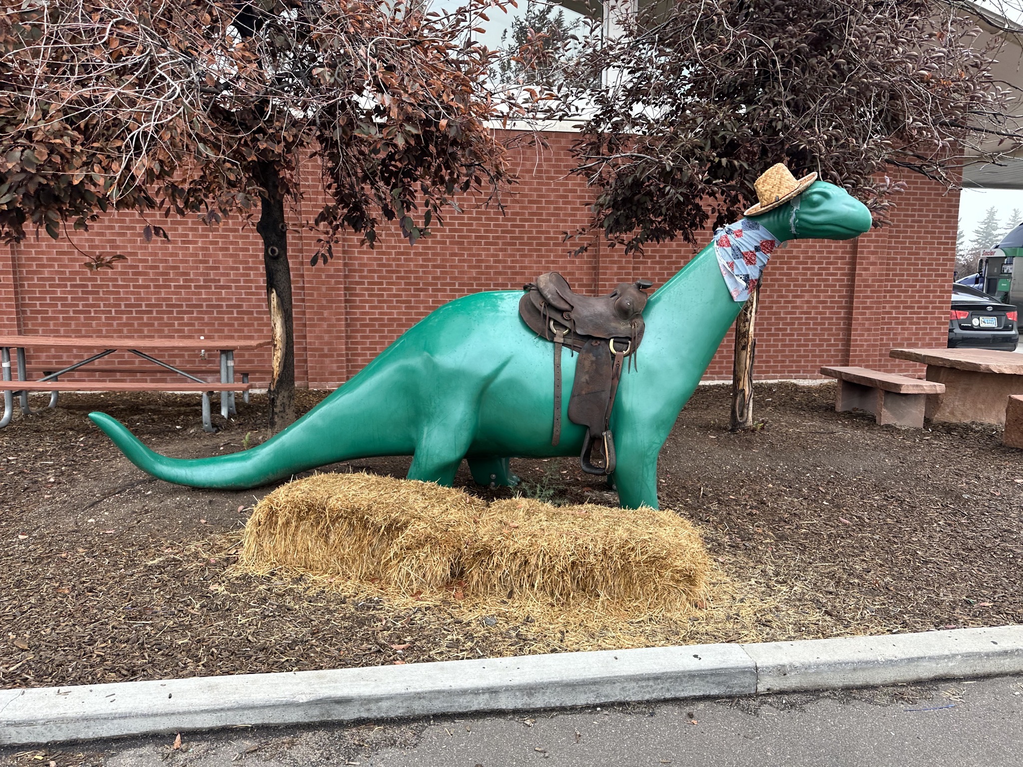 Sinclair dino