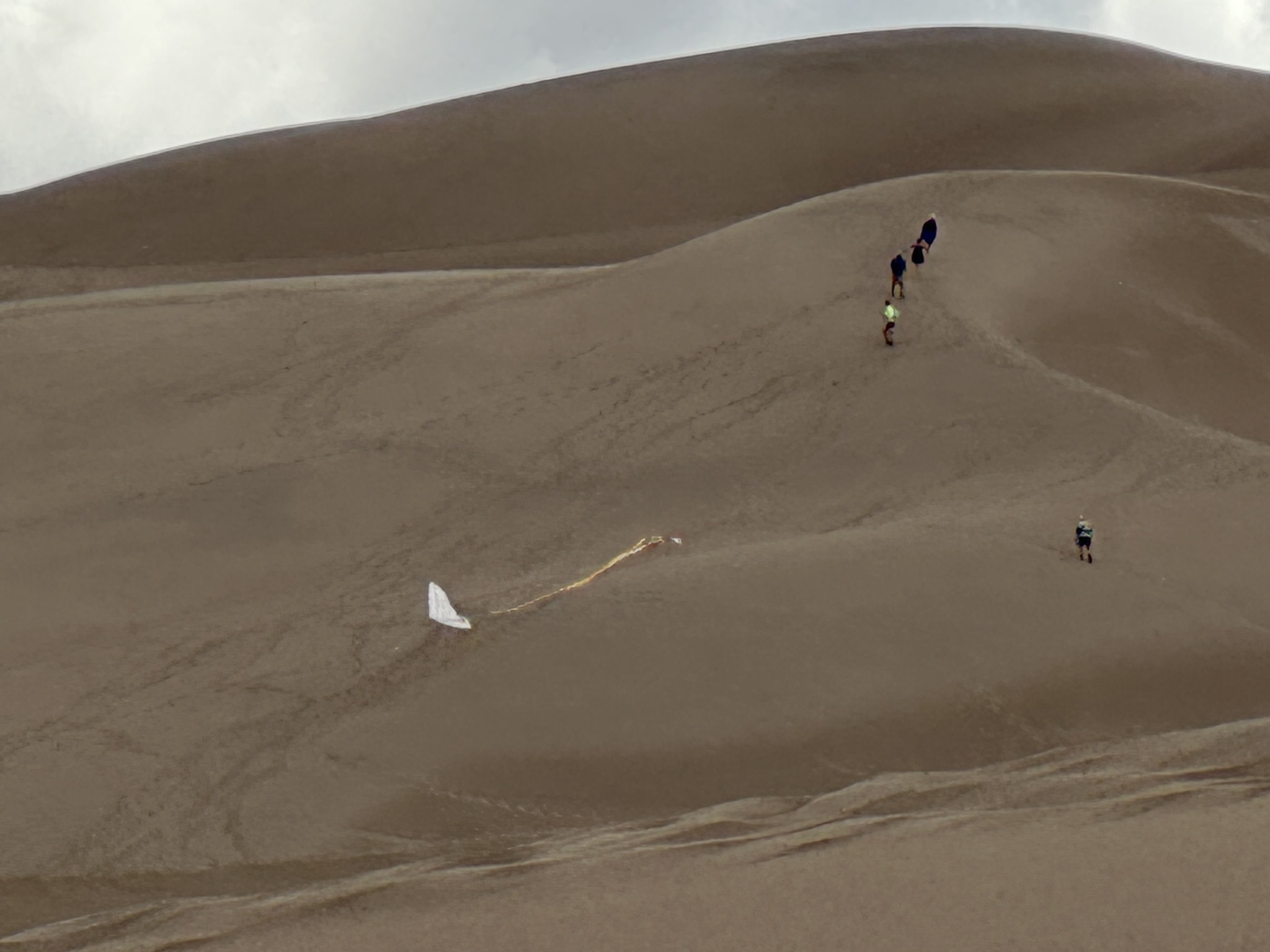 Kite