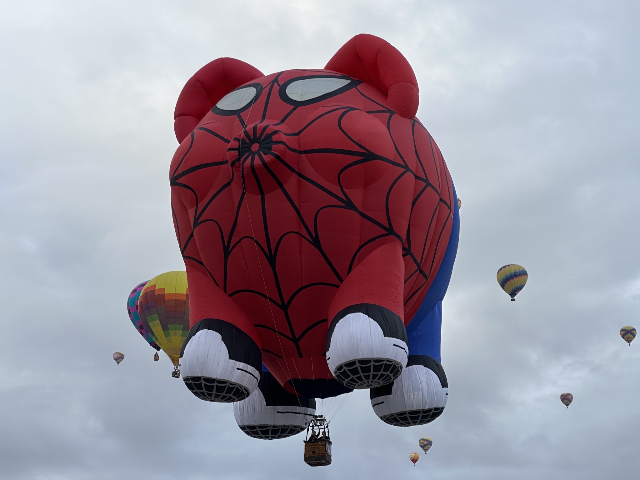 Hot air balloons