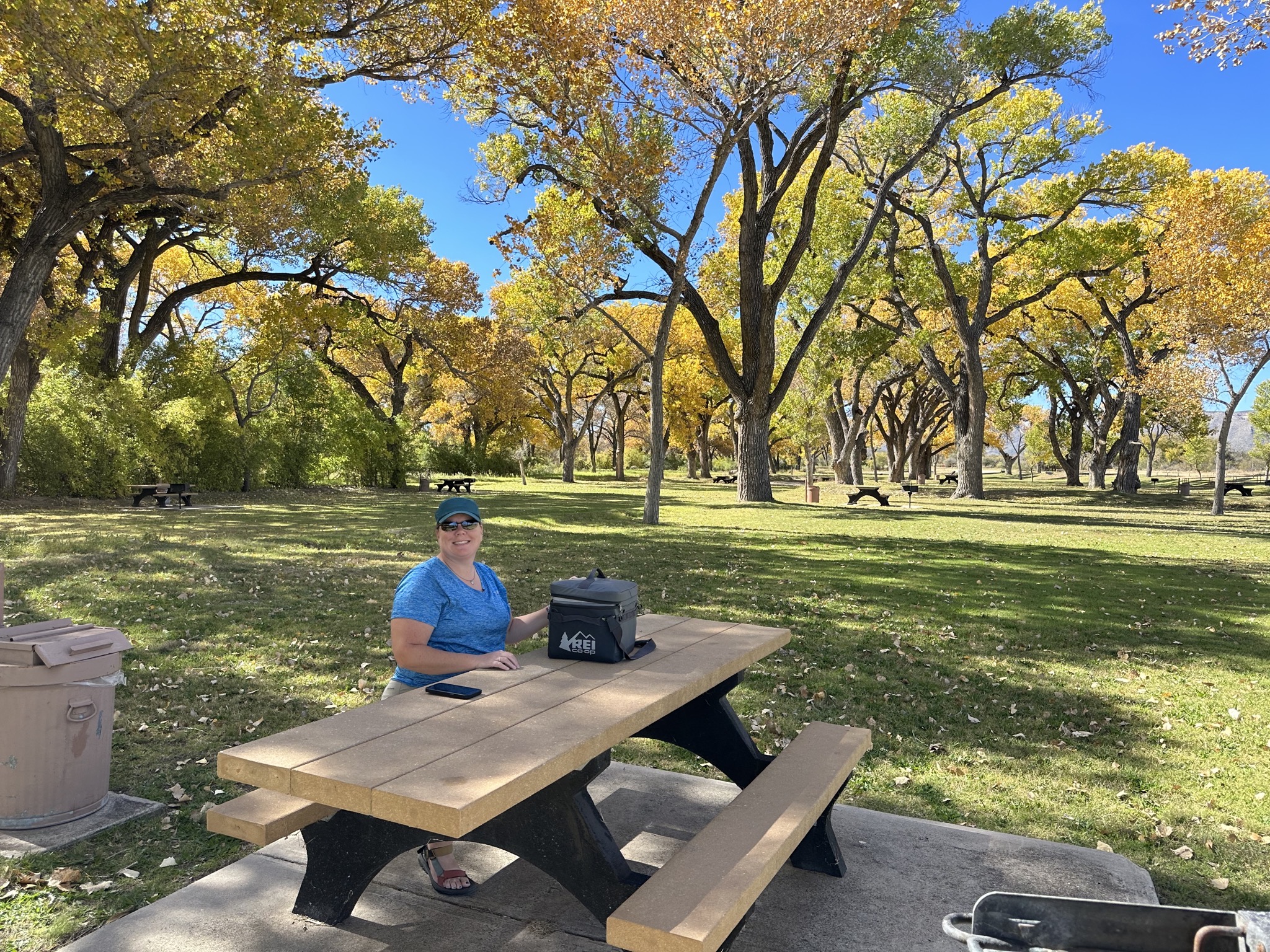 Picnic