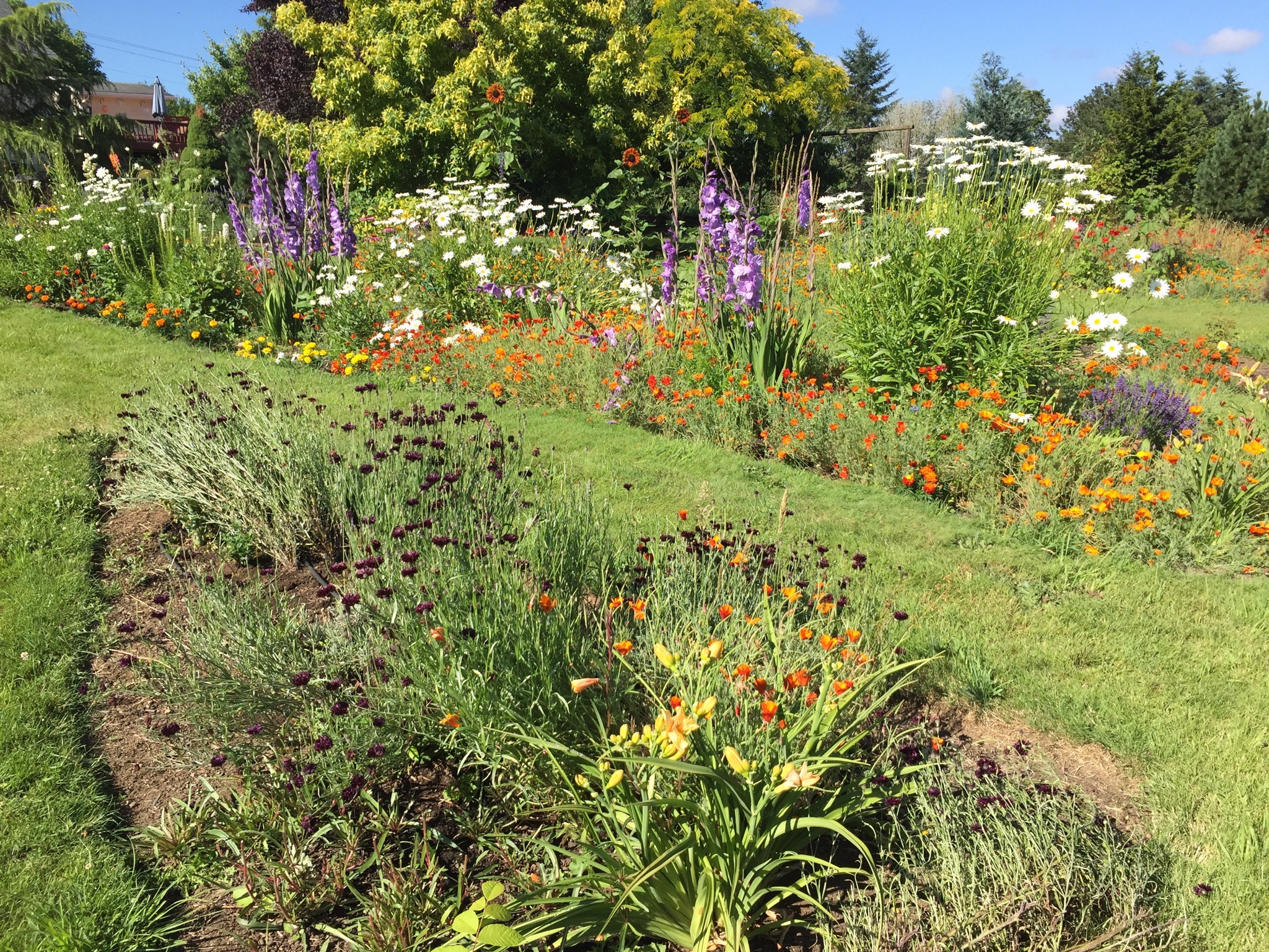 Flowerbeds