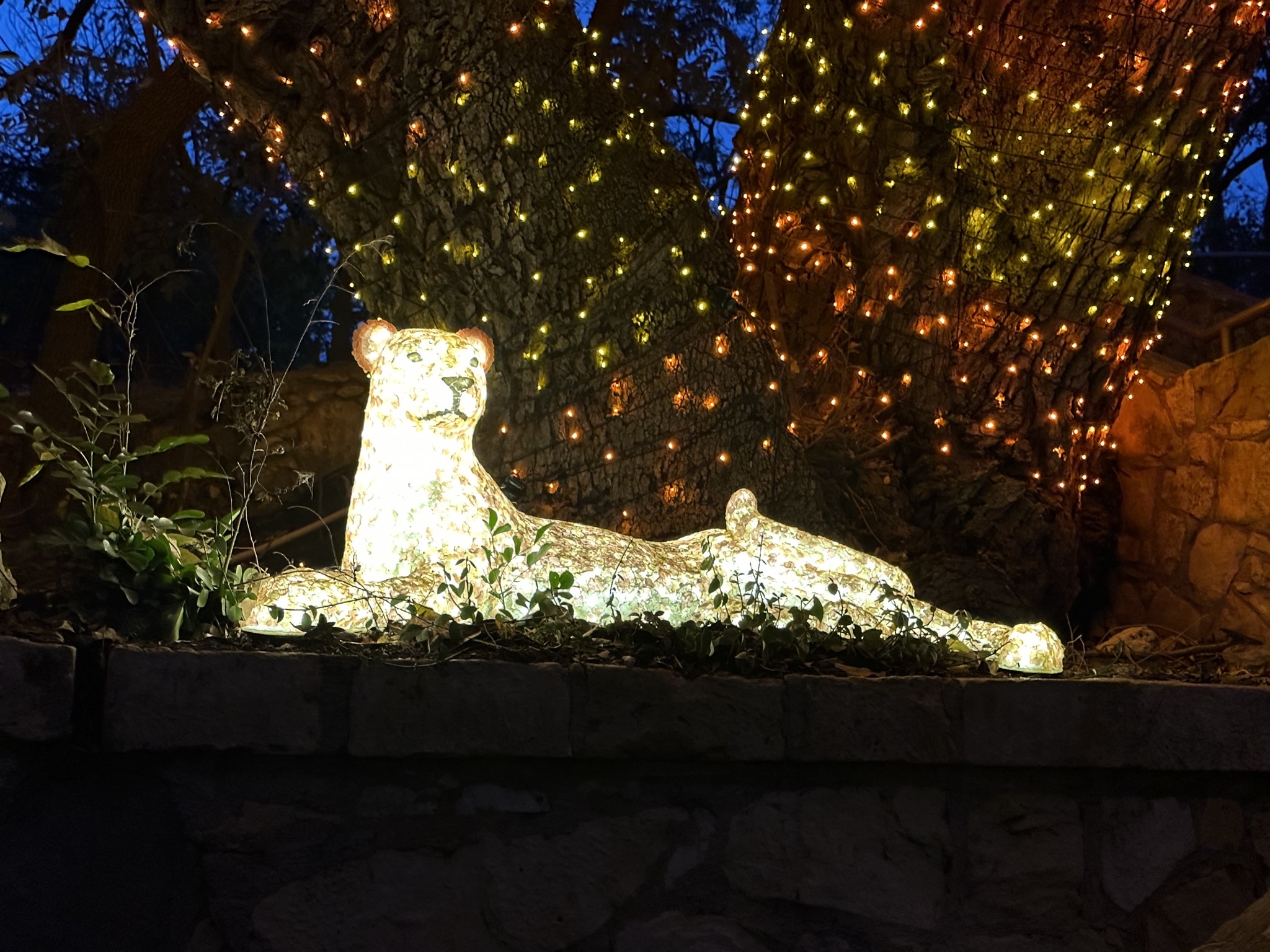 Lights