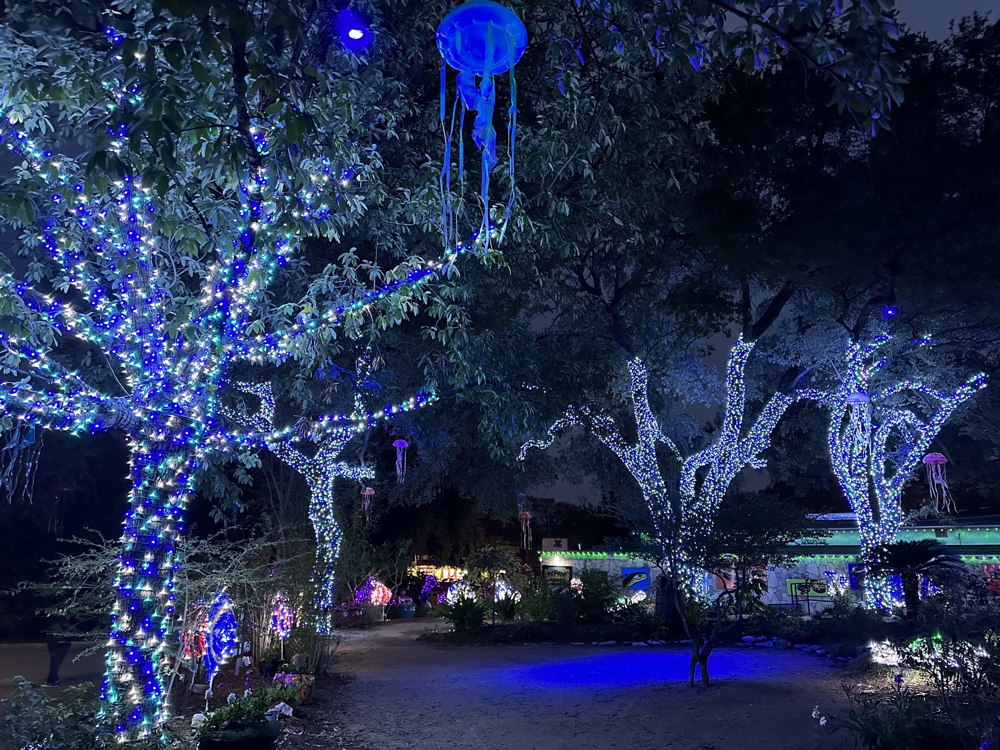 Lights
