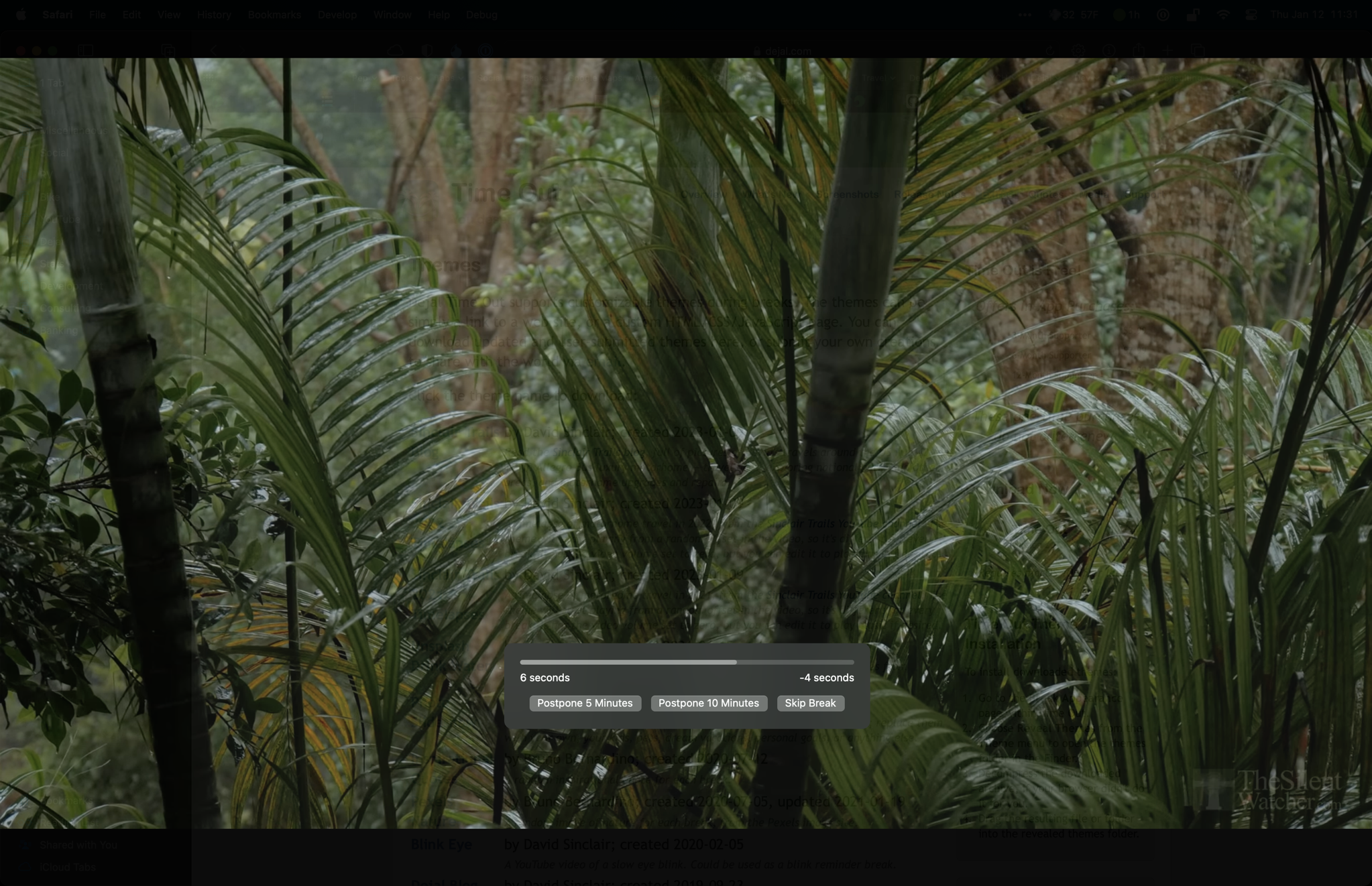 Tropical rain