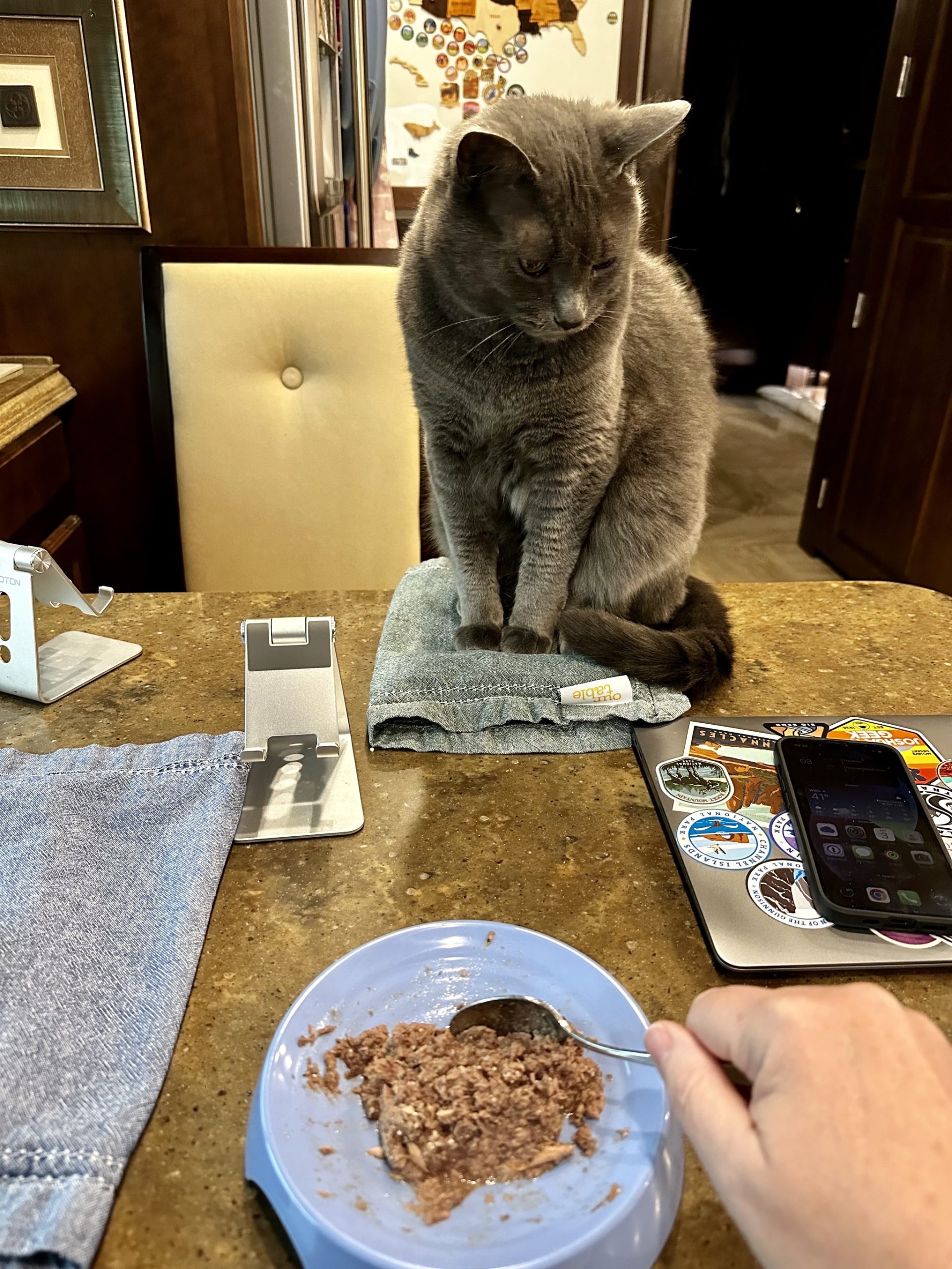 Paladin watching food