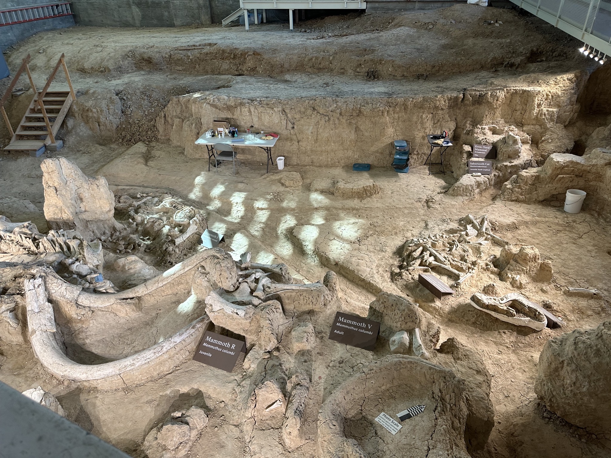 Waco Mammoth National Monument