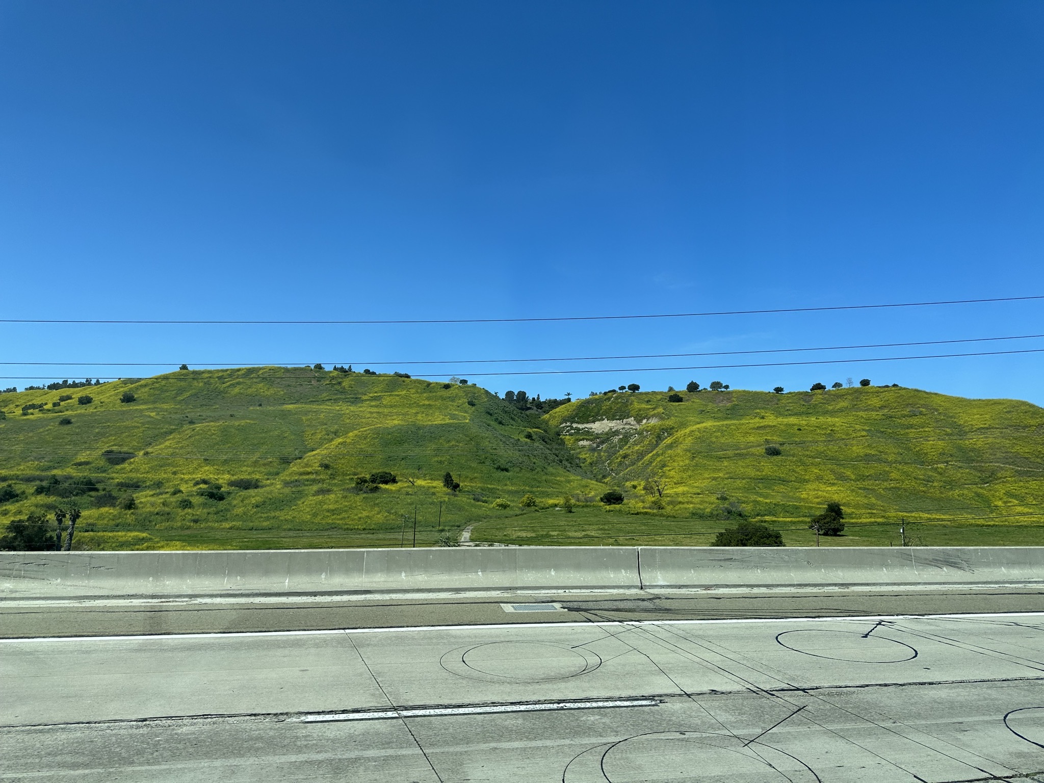 Green hills