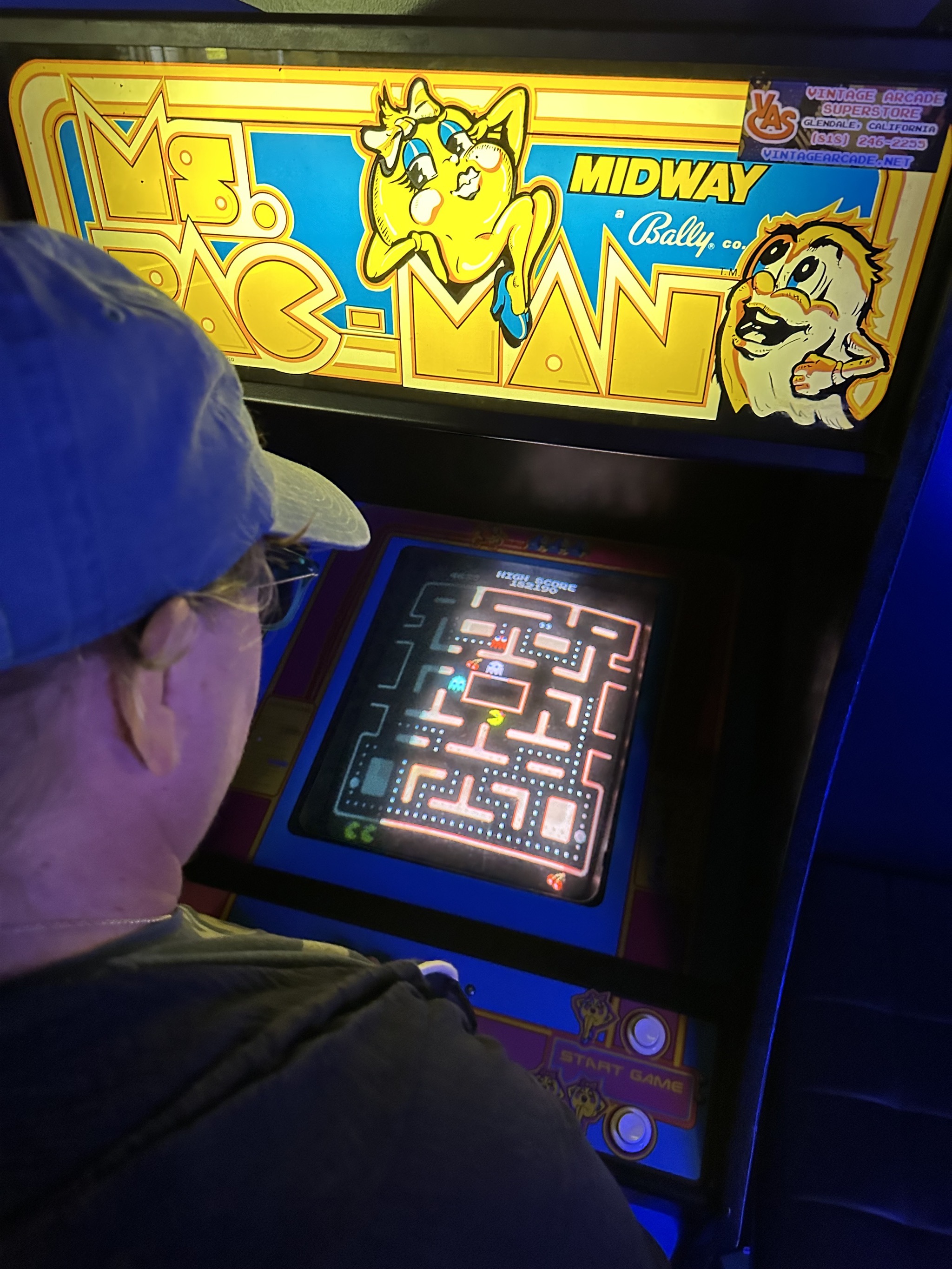 Ms Pac-Man game