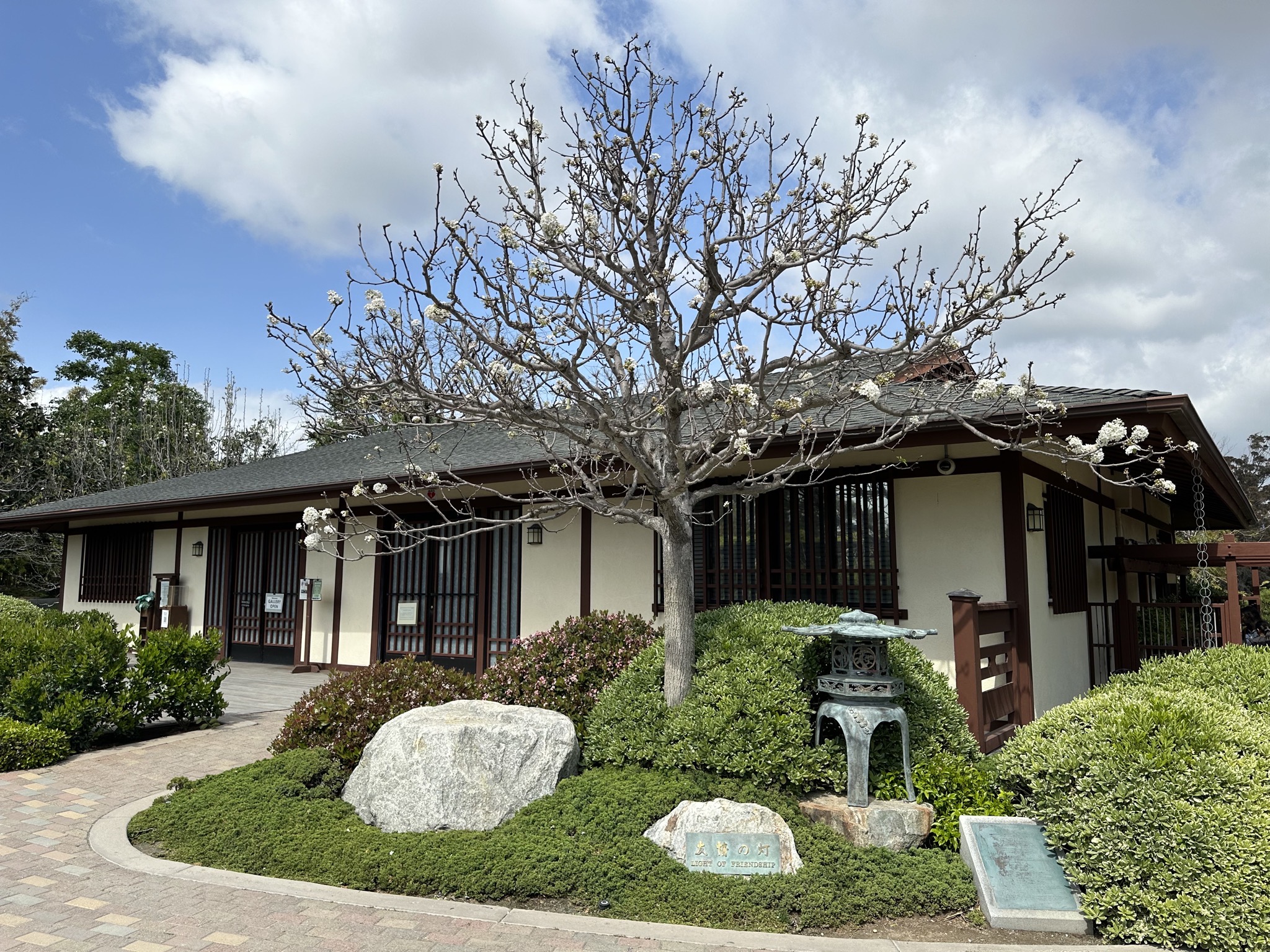 Japanese garden