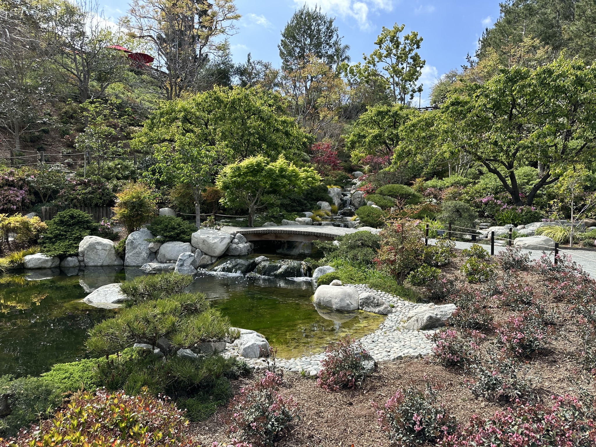 Japanese garden
