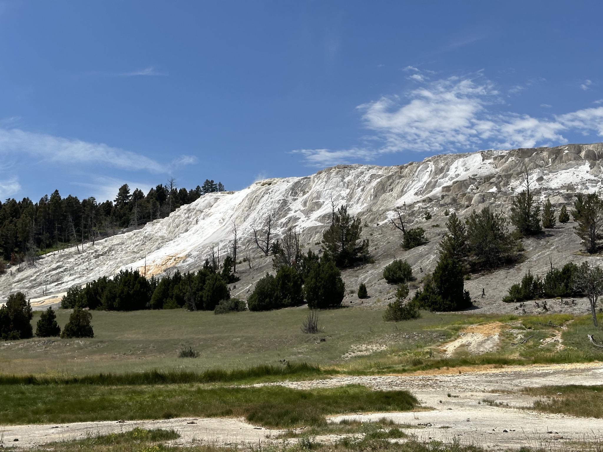 Mammoth terraces