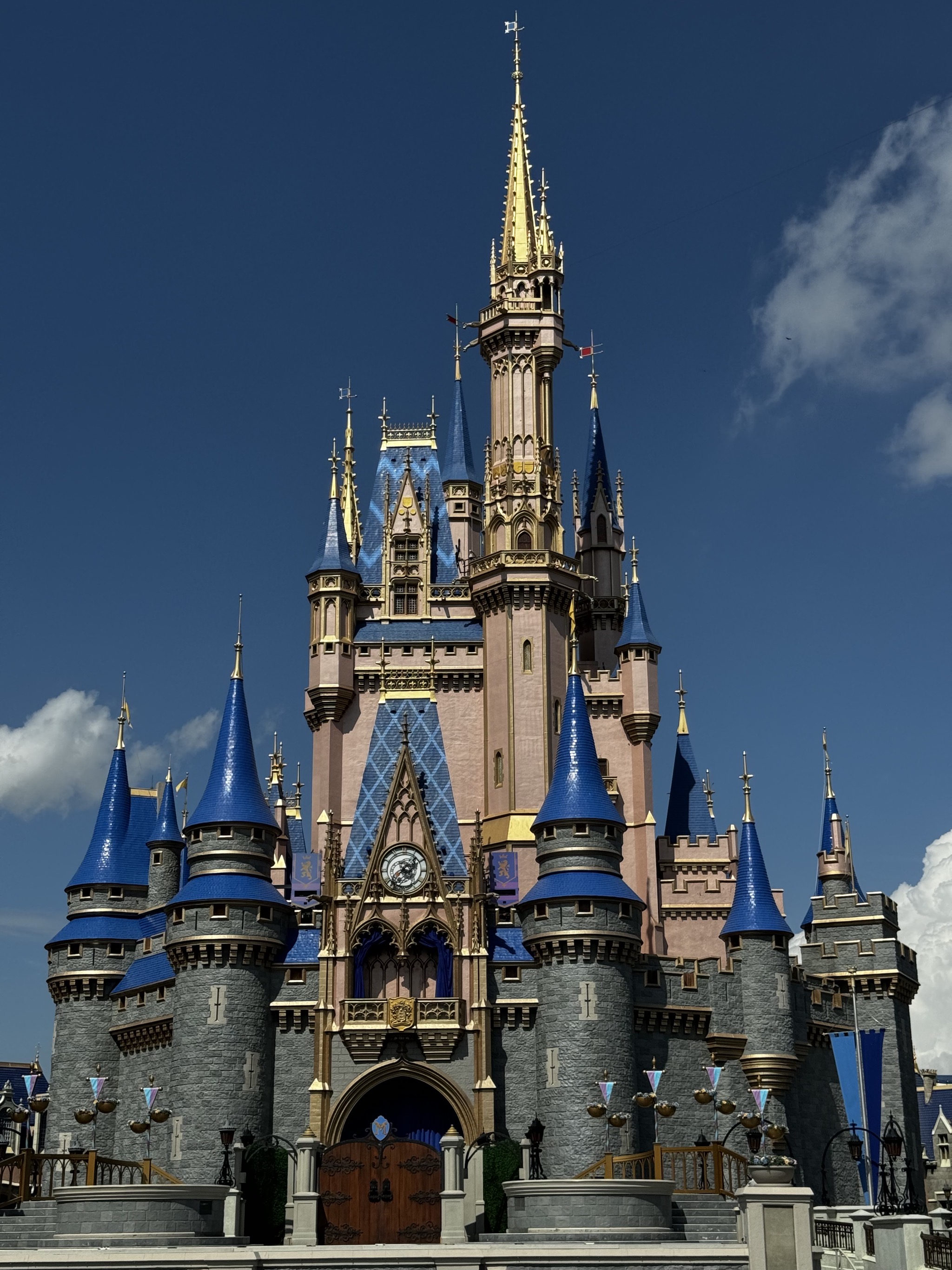 Magic Kingdom castle