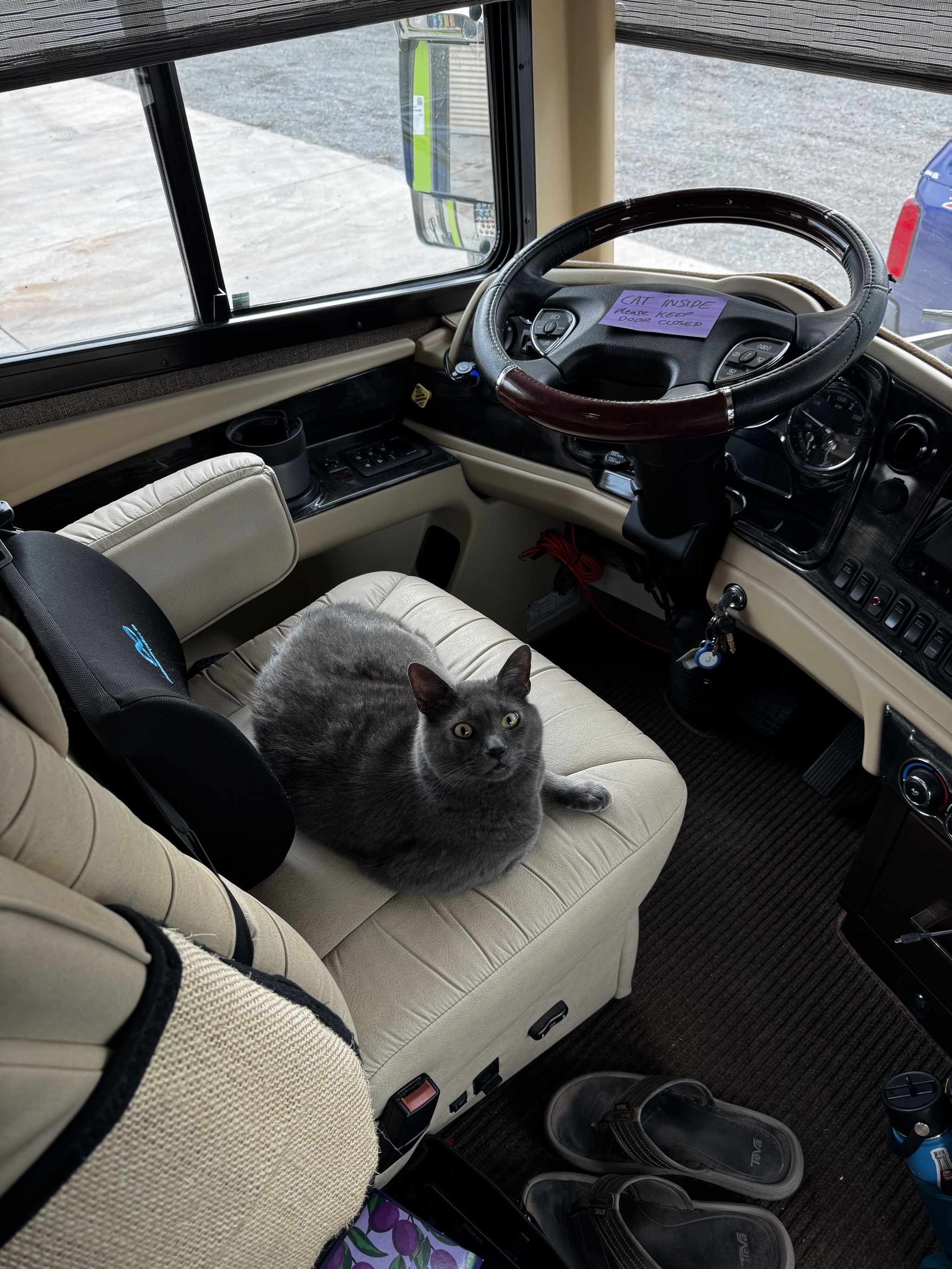 Paladin on driver chair
