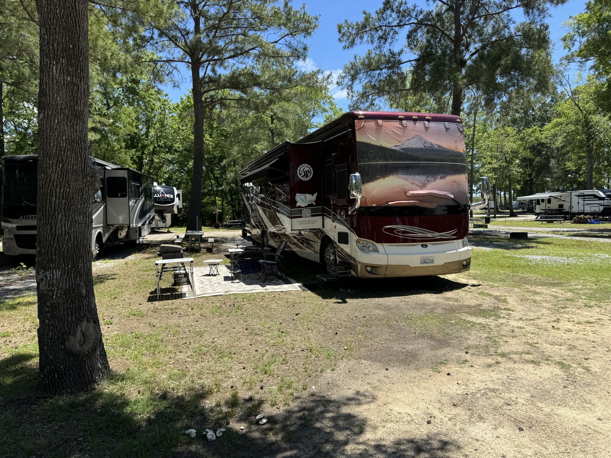 Motorhome amongst trees