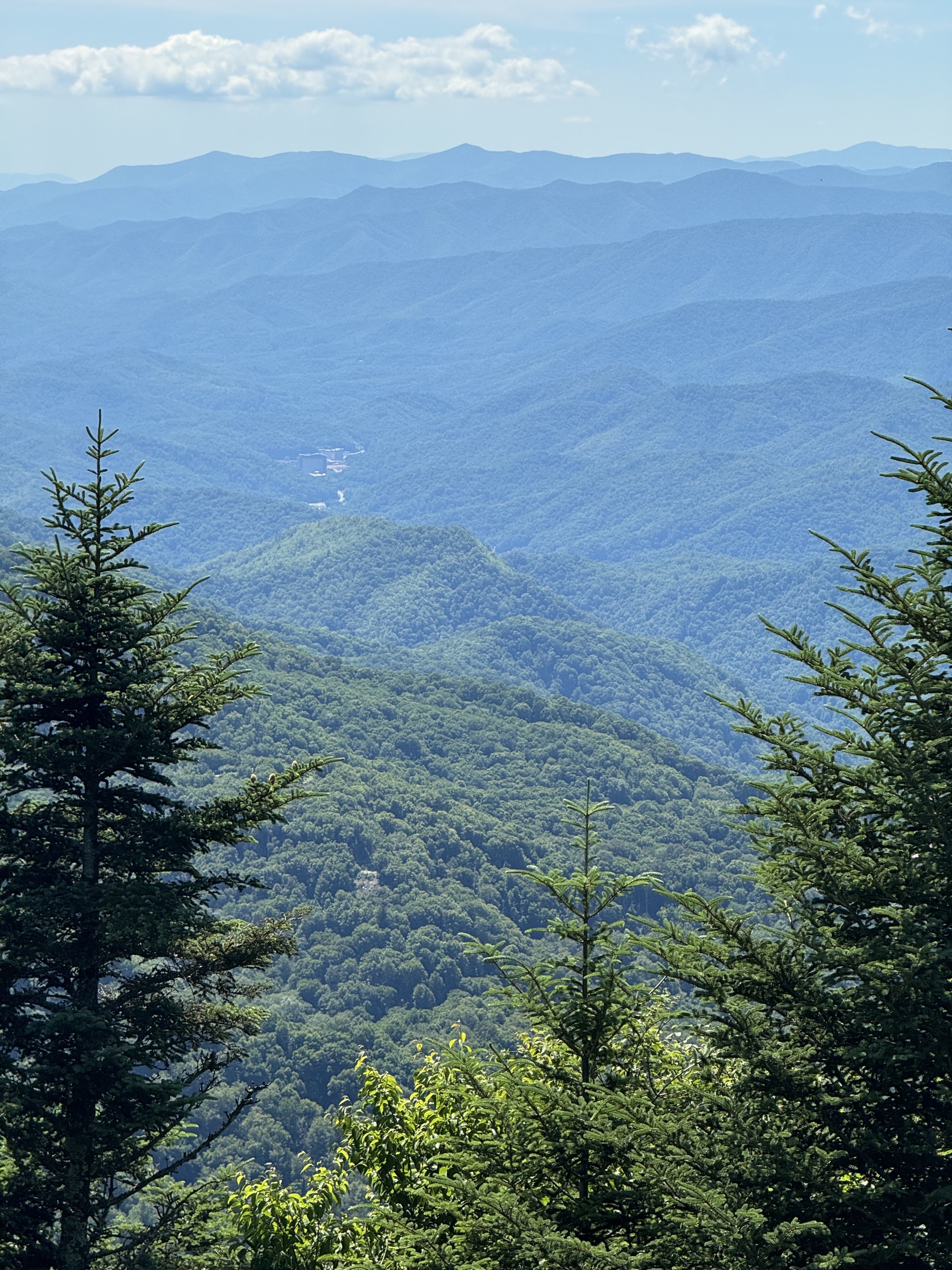 Hills and trees