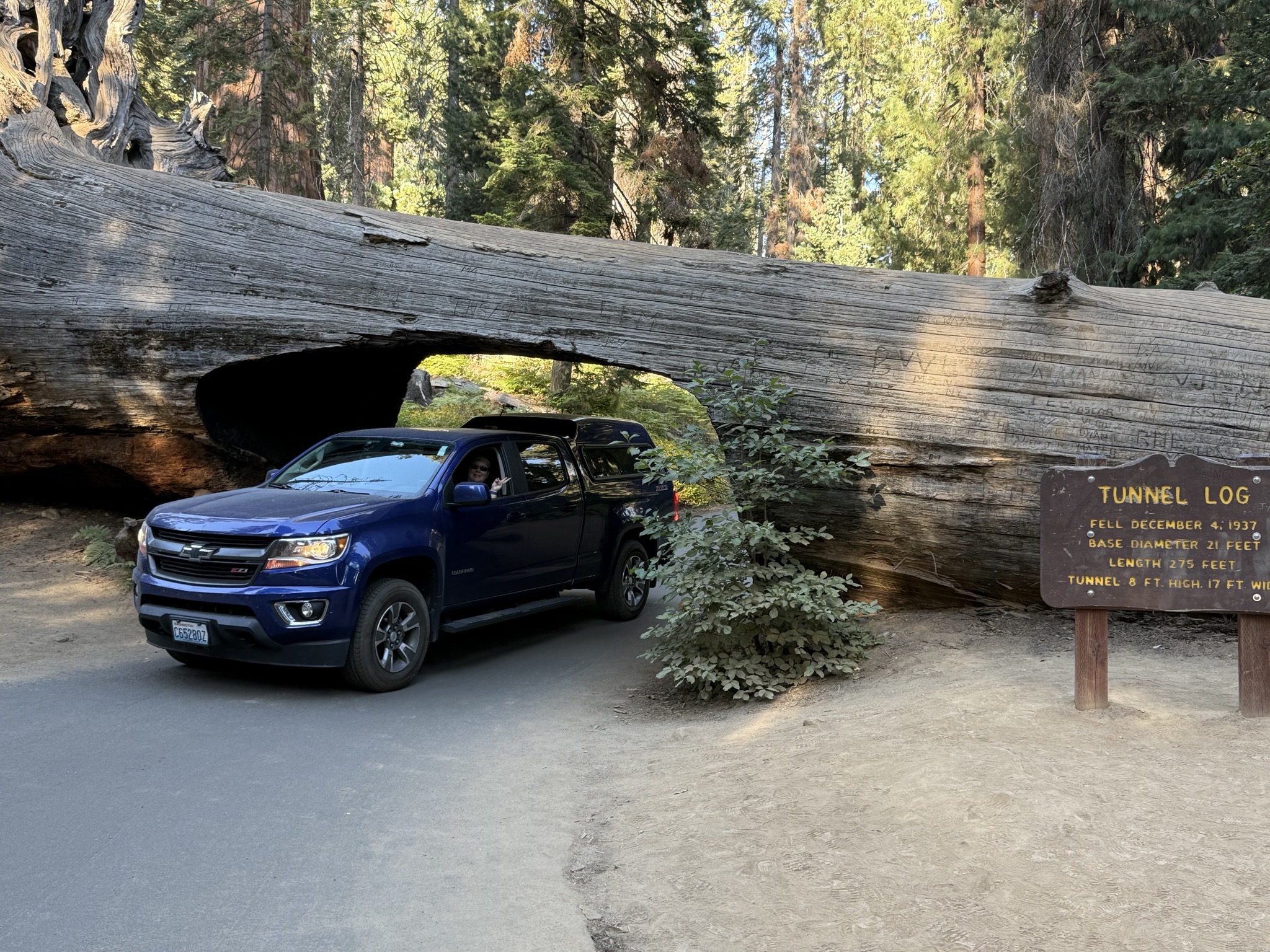 Our truck under the tunnel log