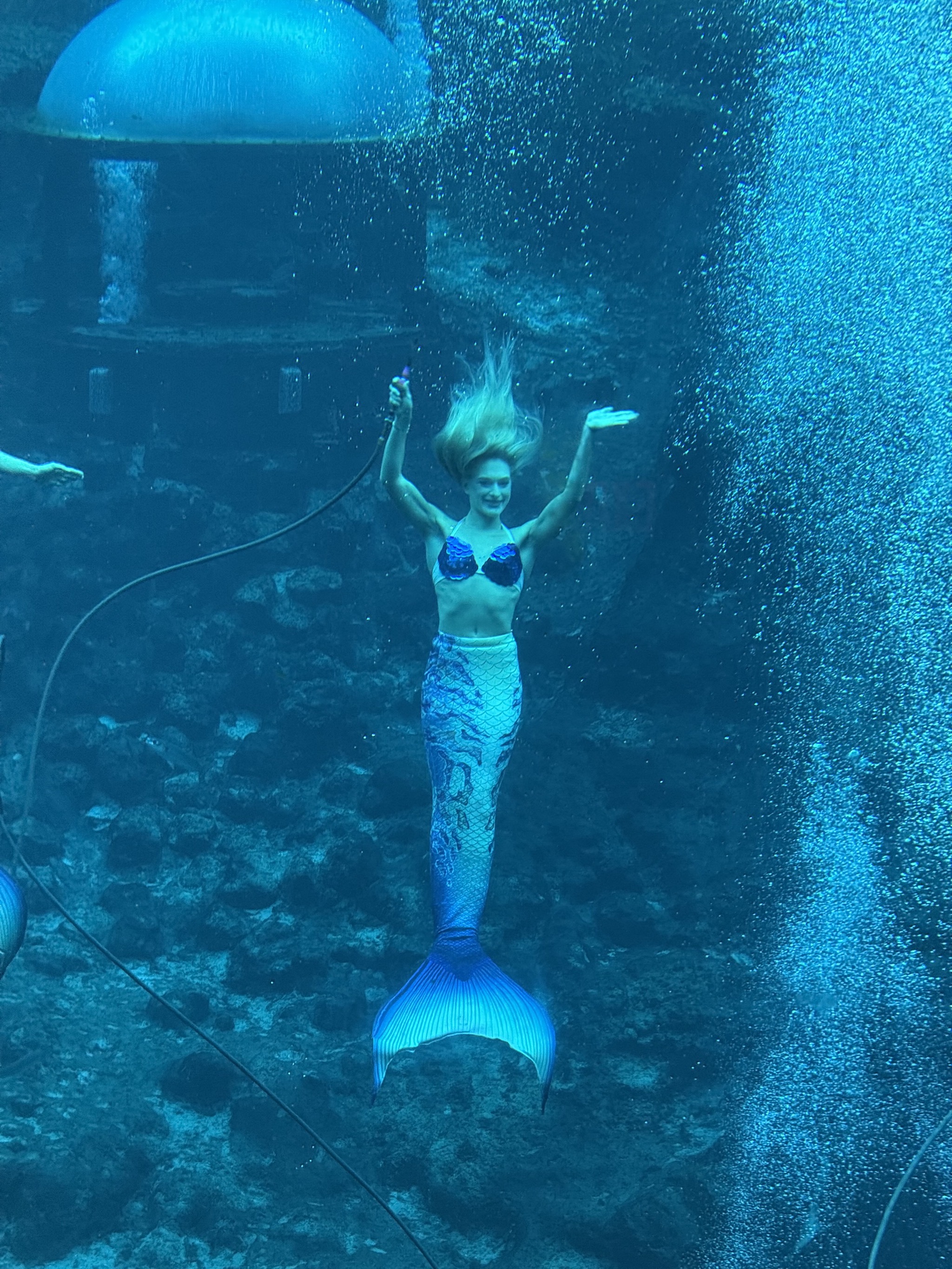 Mermaid