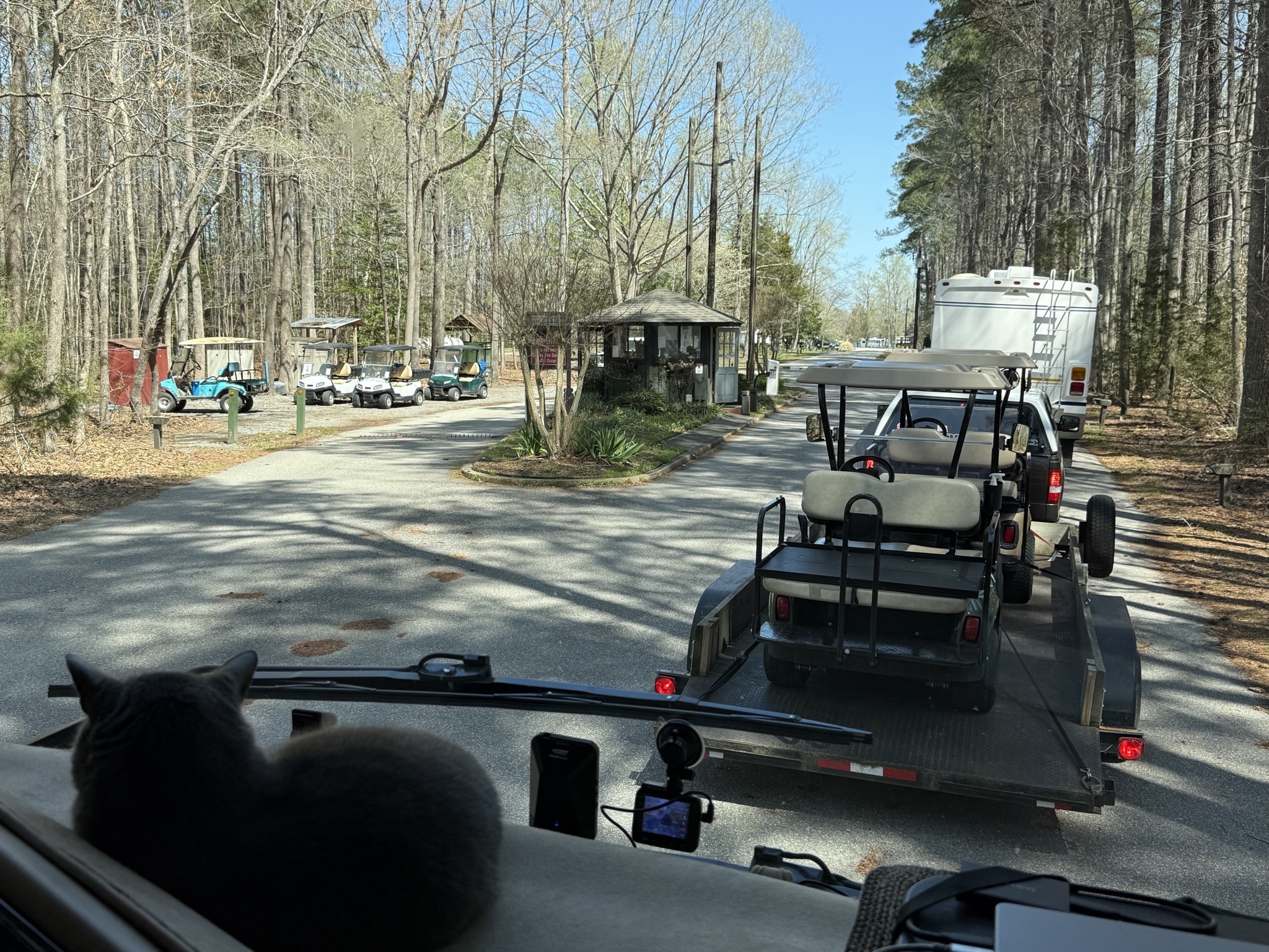 Cat on RV dash and line of vehicles