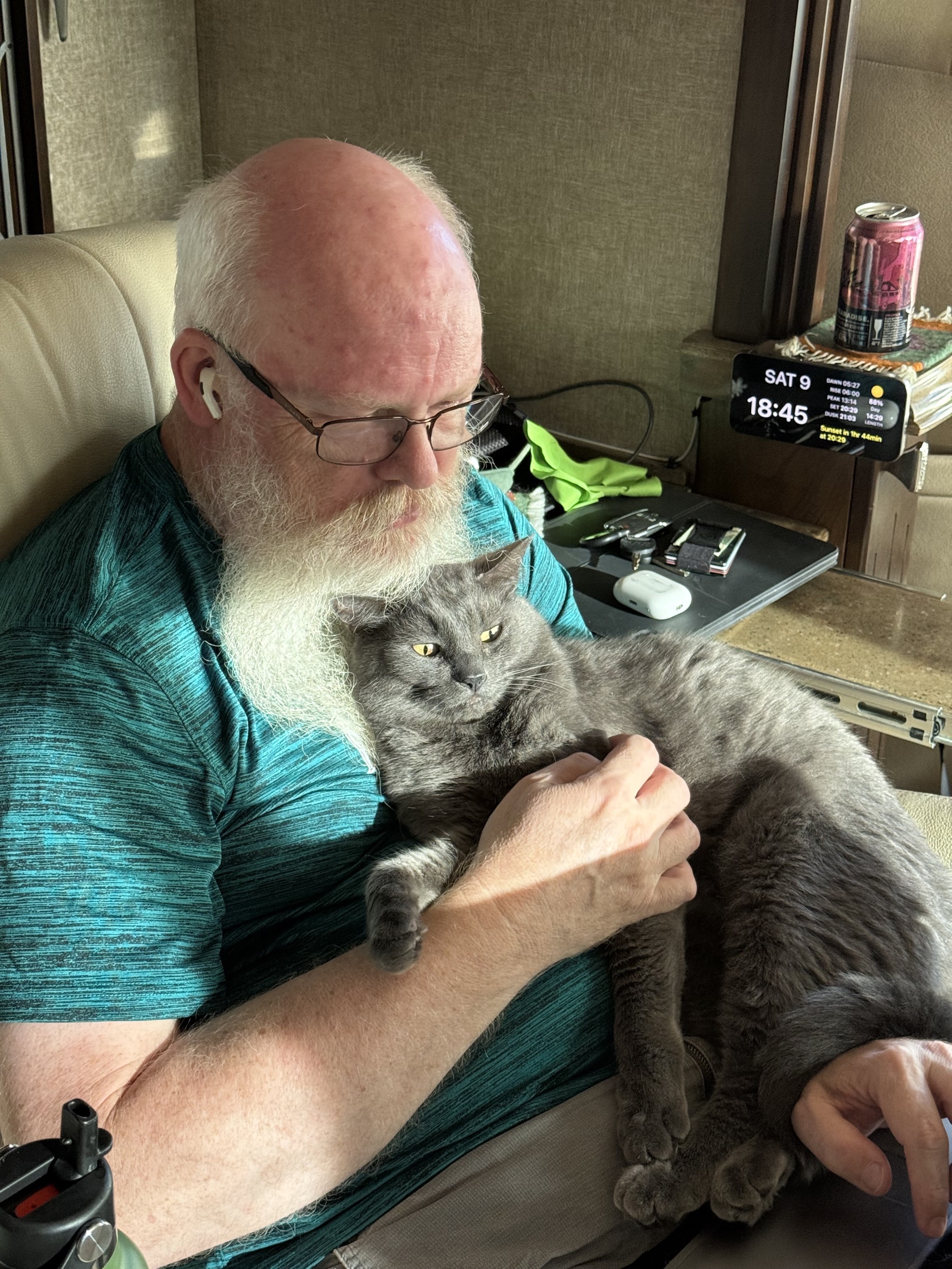 David and Paladin