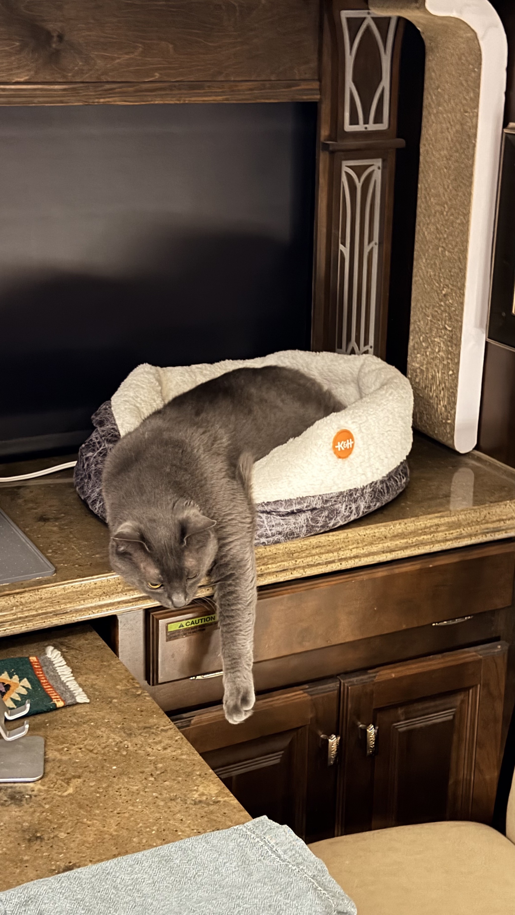 Paladin oozing out of heated bed
